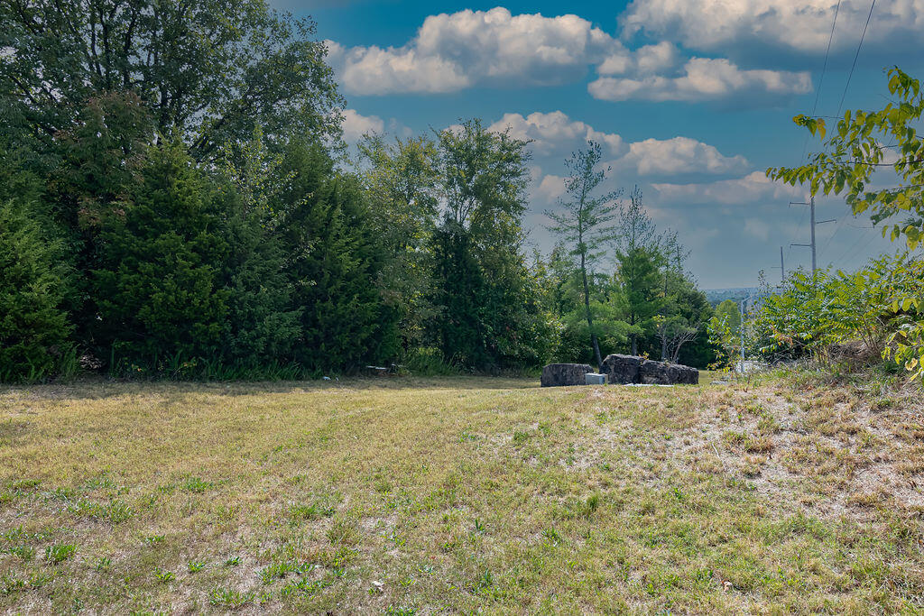 Photo 5 - Land for sale – Tbd  Gretna Road   Branson, MO