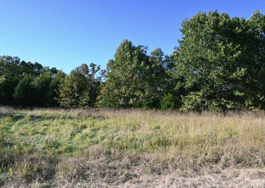 Photo 2 - Land for sale – Lot 6  Stoney Point   Shell Knob, MO