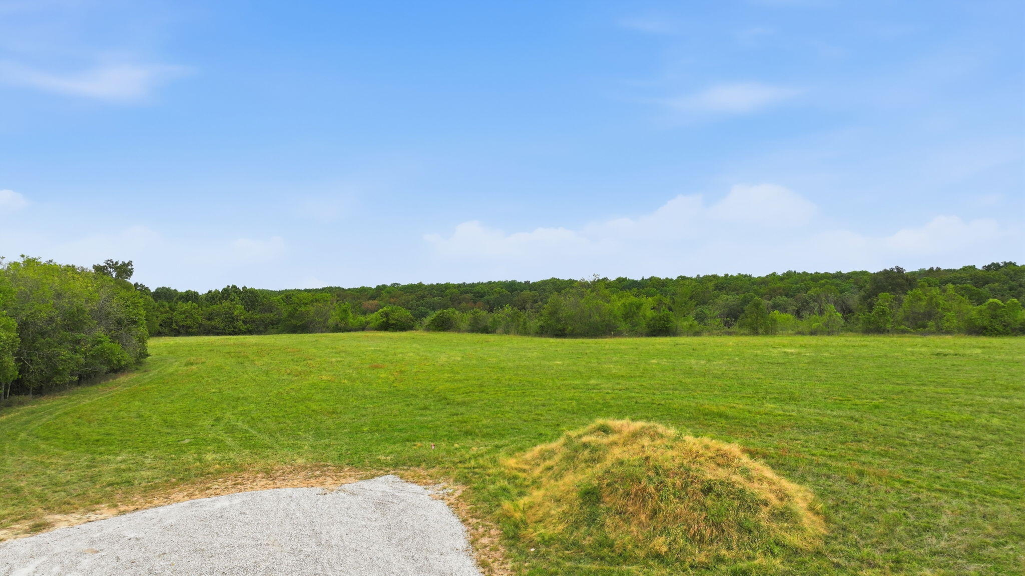 Photo 6 - Land for sale – Tract A  Freedom Road  Marshfield, MO