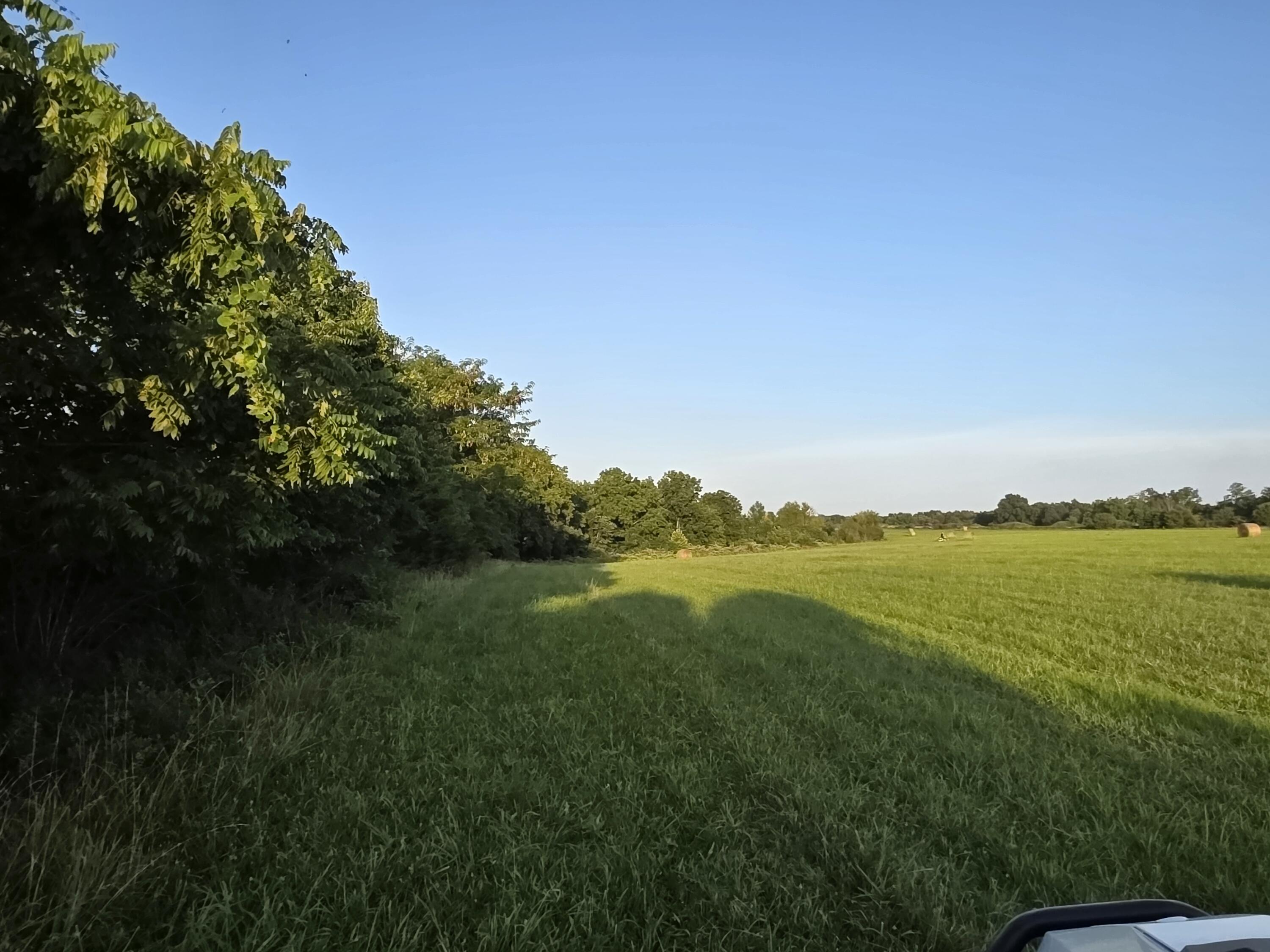 Photo 20 - Land for sale – Tract A  Freedom Road  Marshfield, MO