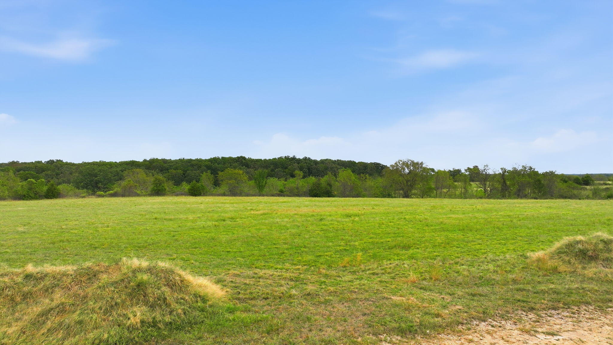 Photo 7 - Land for sale – Tract A  Freedom Road  Marshfield, MO