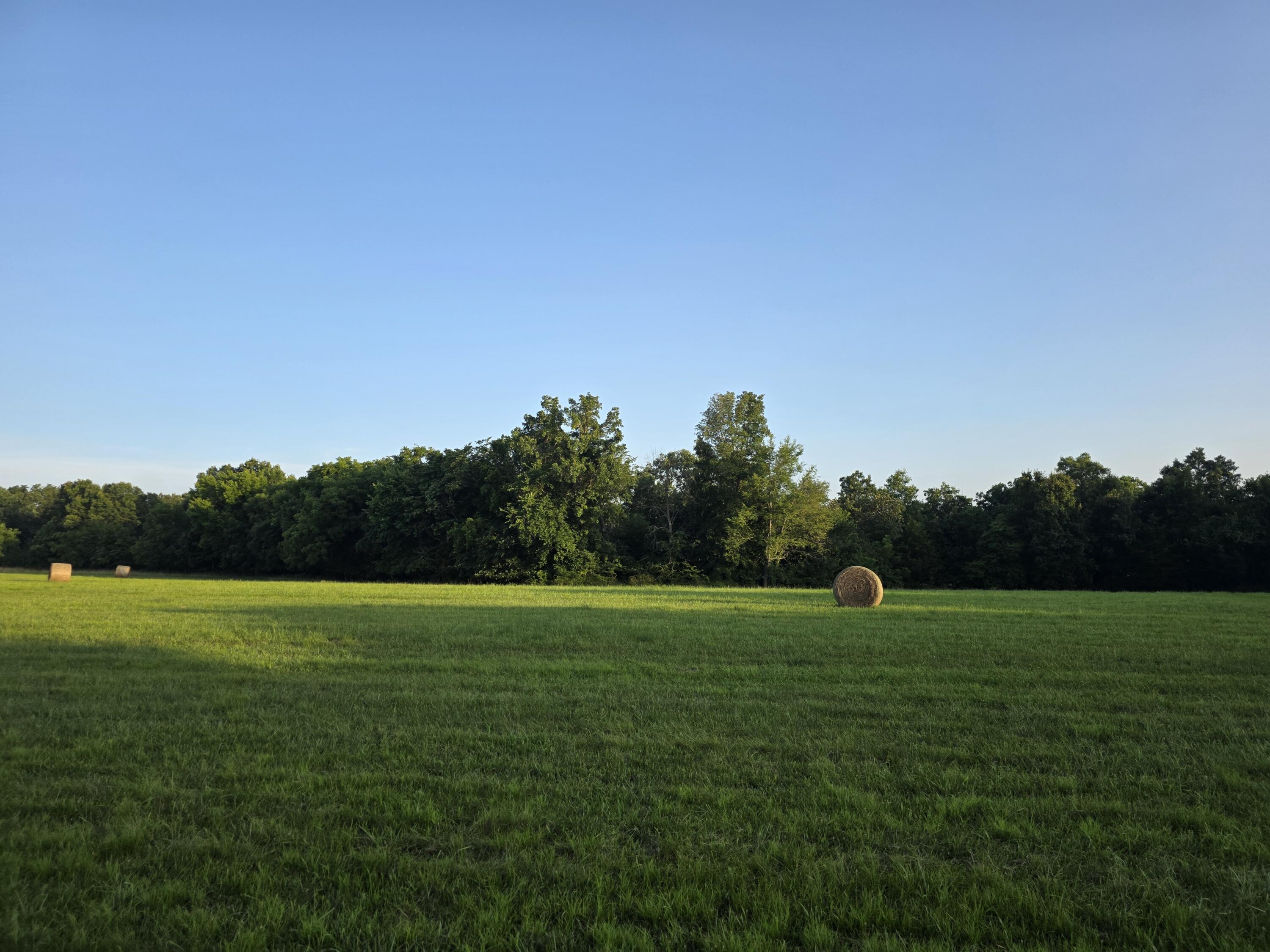 Photo 15 - Land for sale – Tract A  Freedom Road  Marshfield, MO