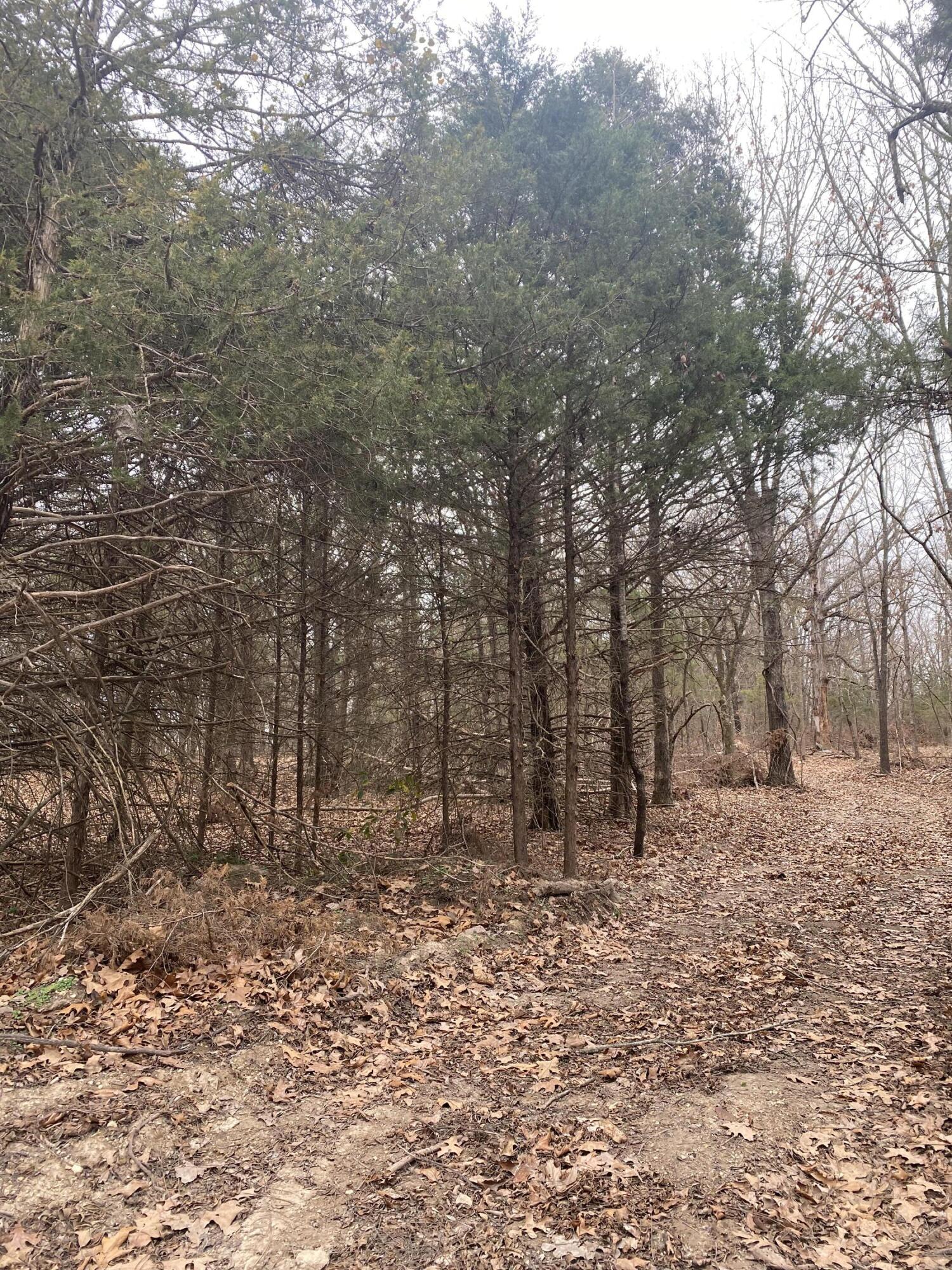 Photo 13 - Land for sale – Lot 2  Hunter Lane   Shell Knob, MO
