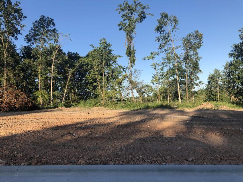Land for sale – Lot 4 S Dollison Avenue  Springfield, MO