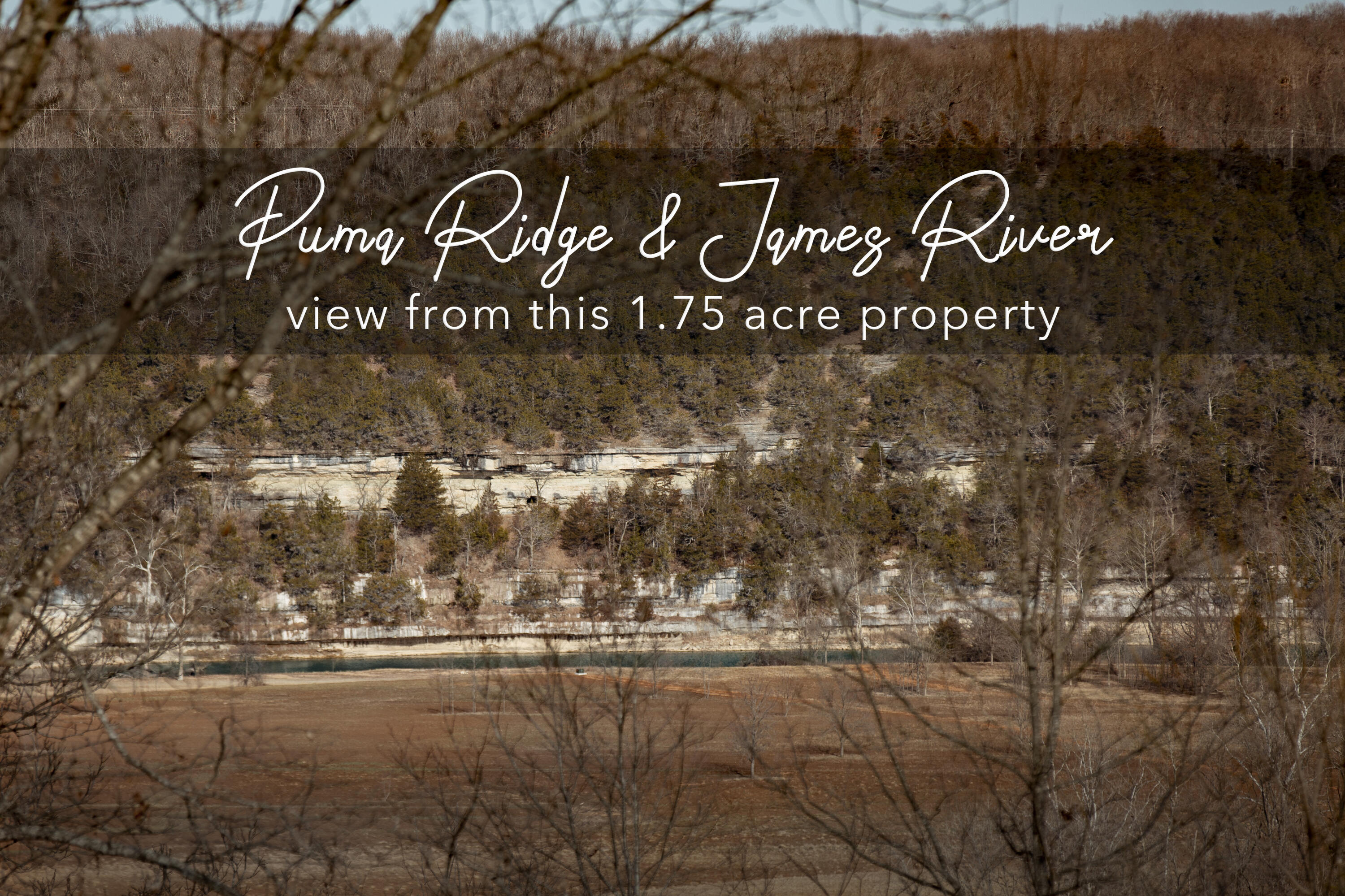 Land for sale – Lot 203  Lone Oak Drive  Cape Fair, MO