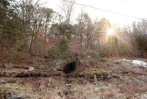 Photo 5 - Land for sale – Lot 213  Lone Oak Drive  Cape Fair, MO