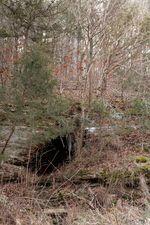 Photo 6 - Land for sale – Lot 213  Lone Oak Drive  Cape Fair, MO