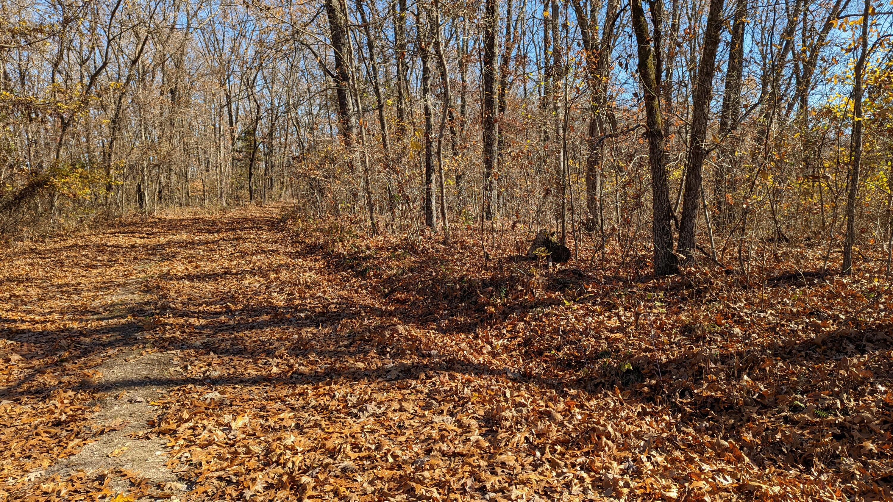 Photo 8 - Land for sale – Tracts 1-3  Dogwood Hills Estates  Cape Fair, MO