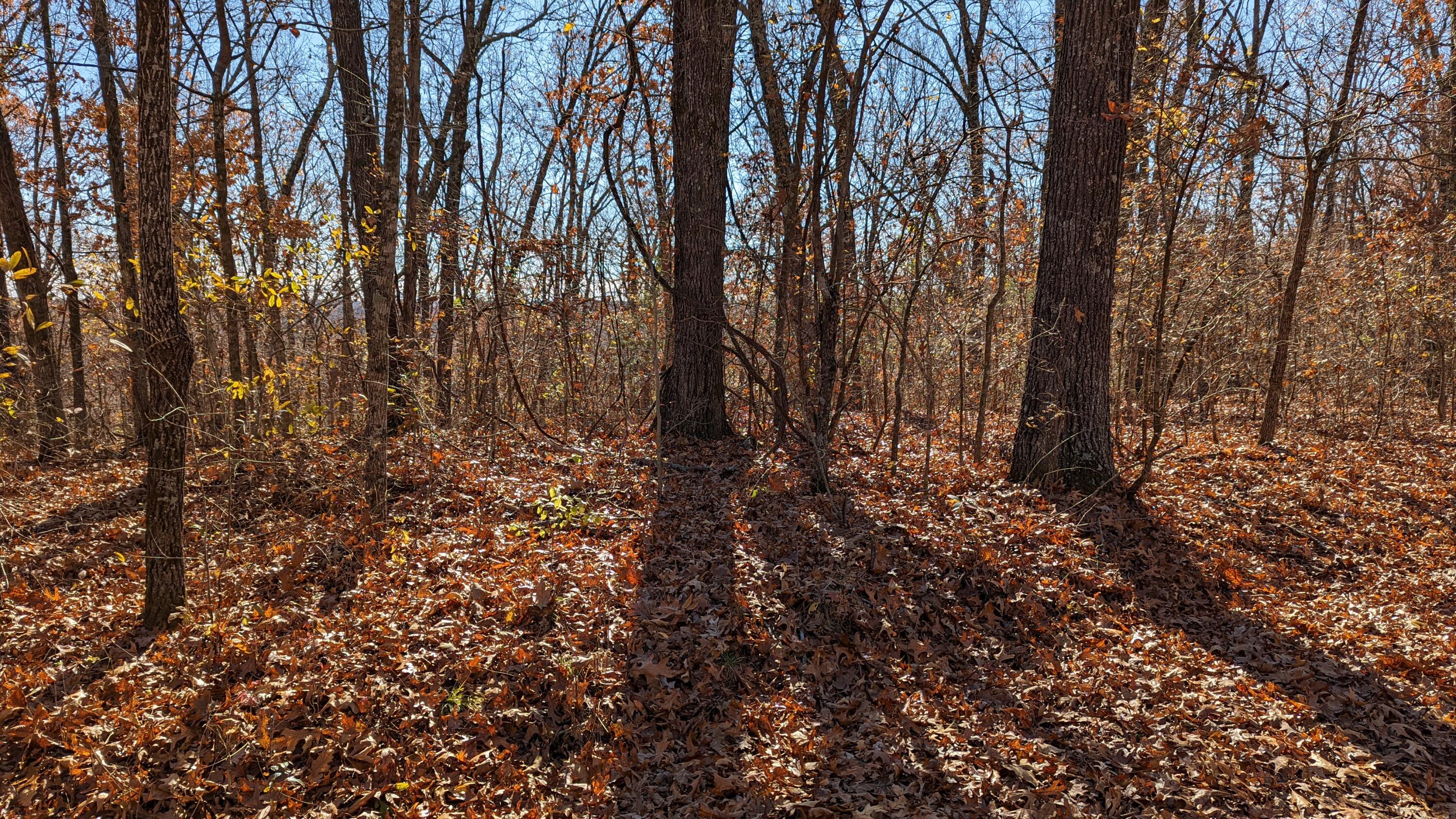 Photo 6 - Land for sale – Tracts 1-3  Dogwood Hills Estates  Cape Fair, MO
