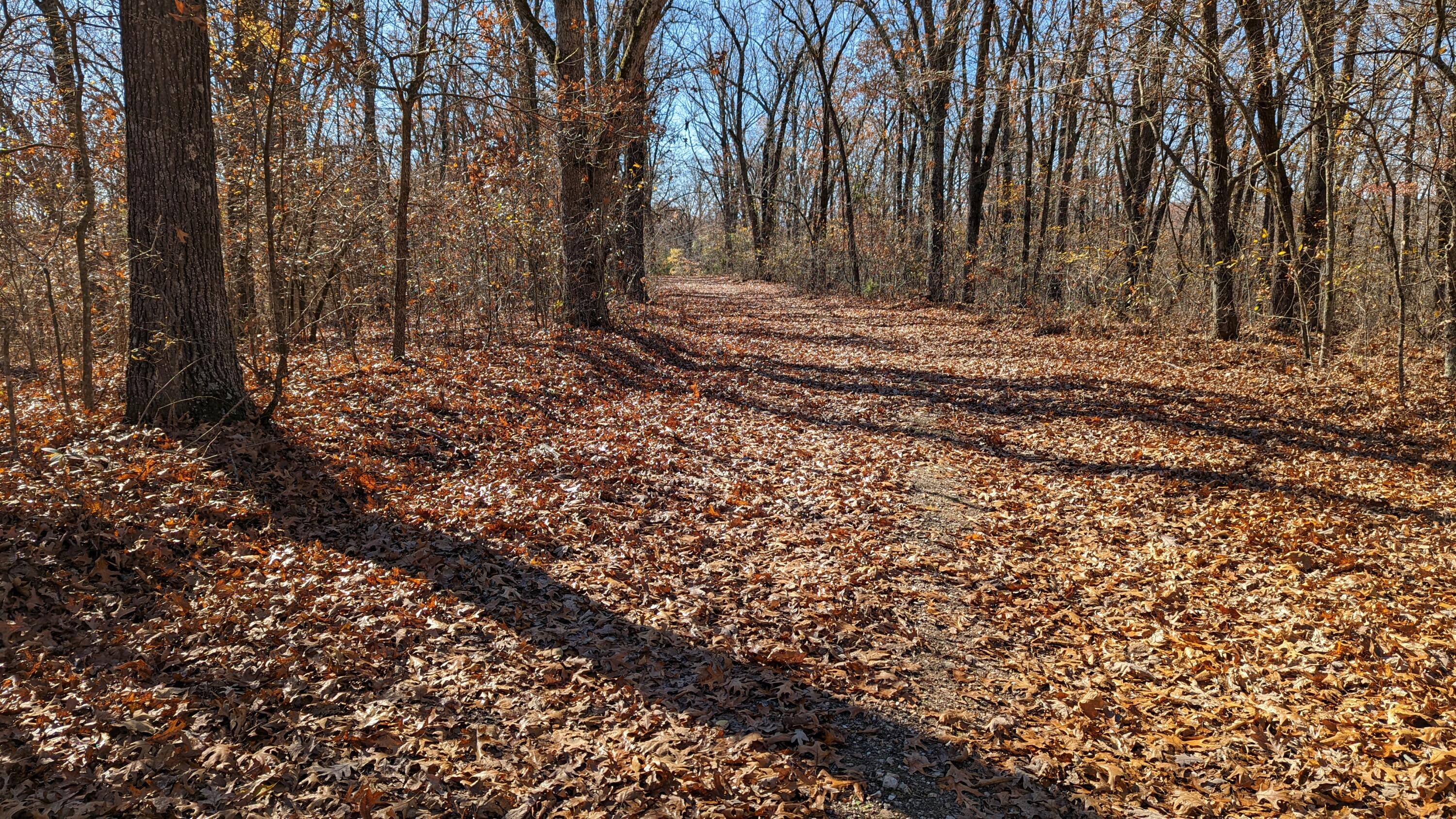 Photo 3 - Land for sale – Tracts 1-3  Dogwood Hills Estates  Cape Fair, MO