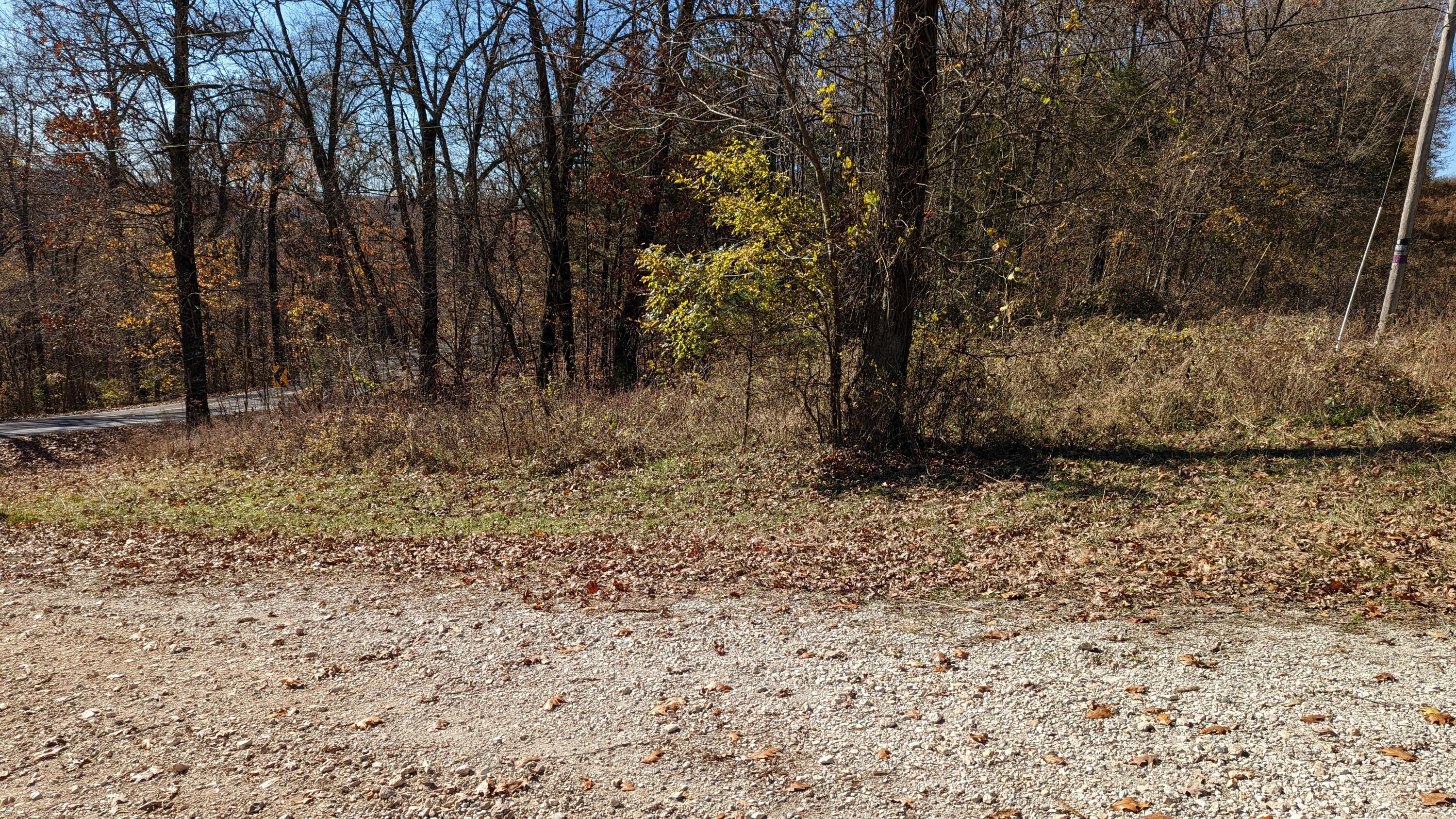Photo 5 - Land for sale – Tracts 1-3  Dogwood Hills Estates  Cape Fair, MO