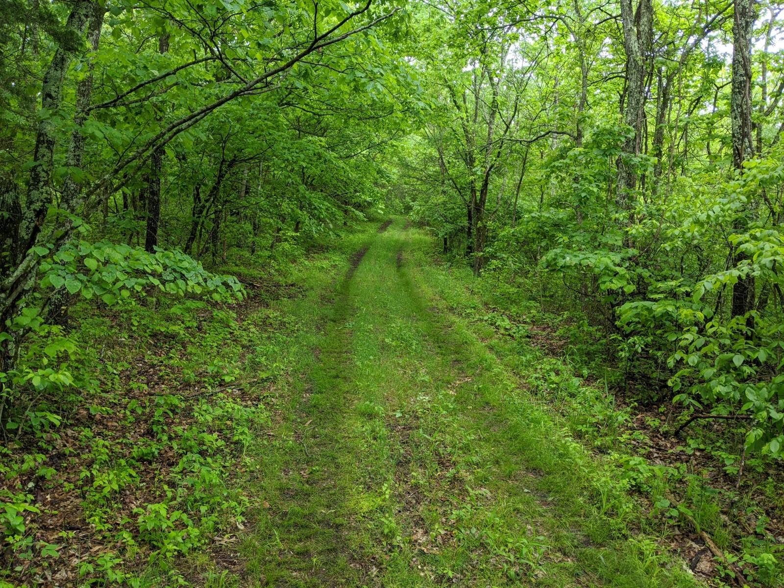 Land for sale – Tracts 1-3  Dogwood Hills Estates  Cape Fair, MO