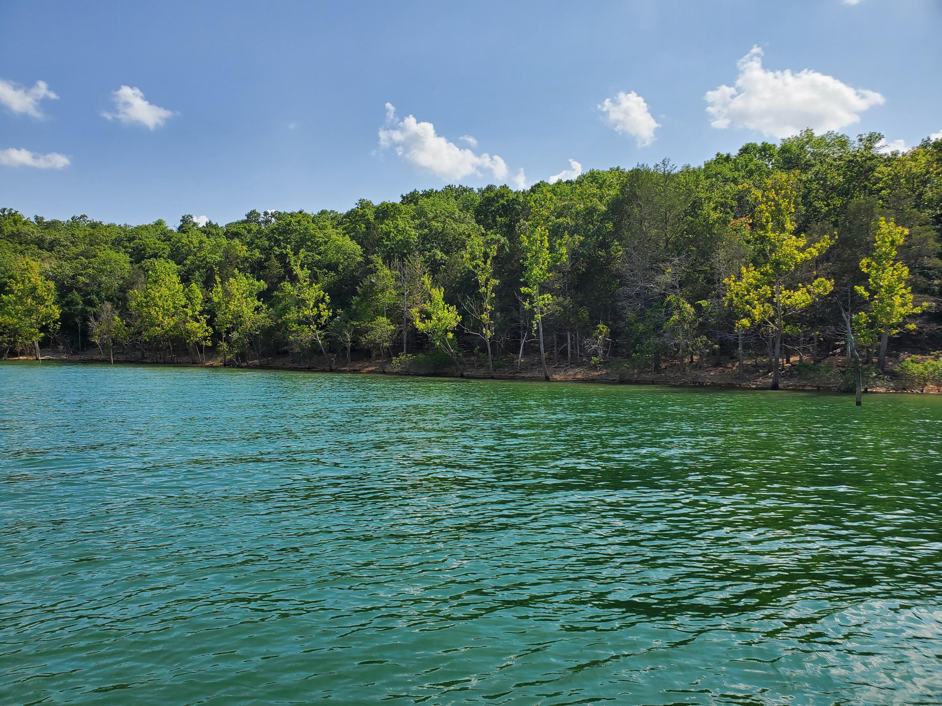 Photo 11 - Land for sale – Lots 1 & 2  Deer Lick Acres Hamby   Blue Eye, MO