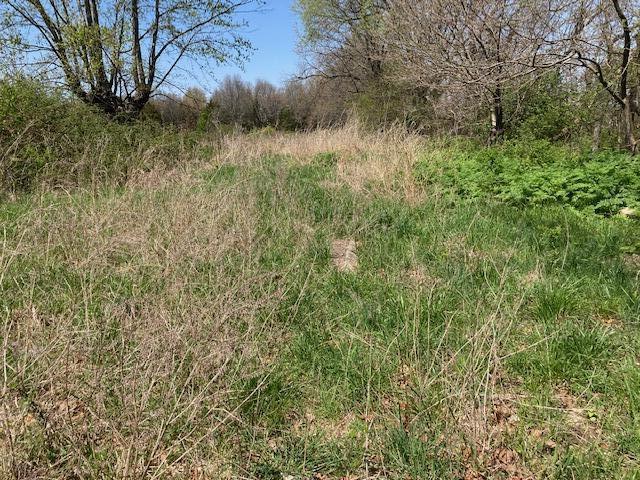 Photo 2 - Land for sale – Tbd  Banning Court   Marshfield, MO