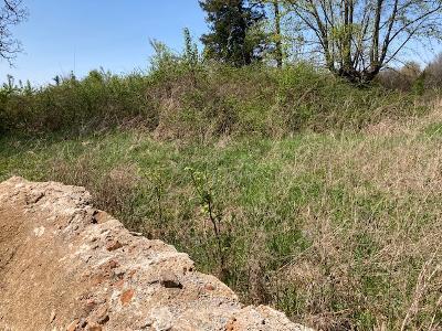 Photo 4 - Land for sale – Tbd  Banning Court   Marshfield, MO