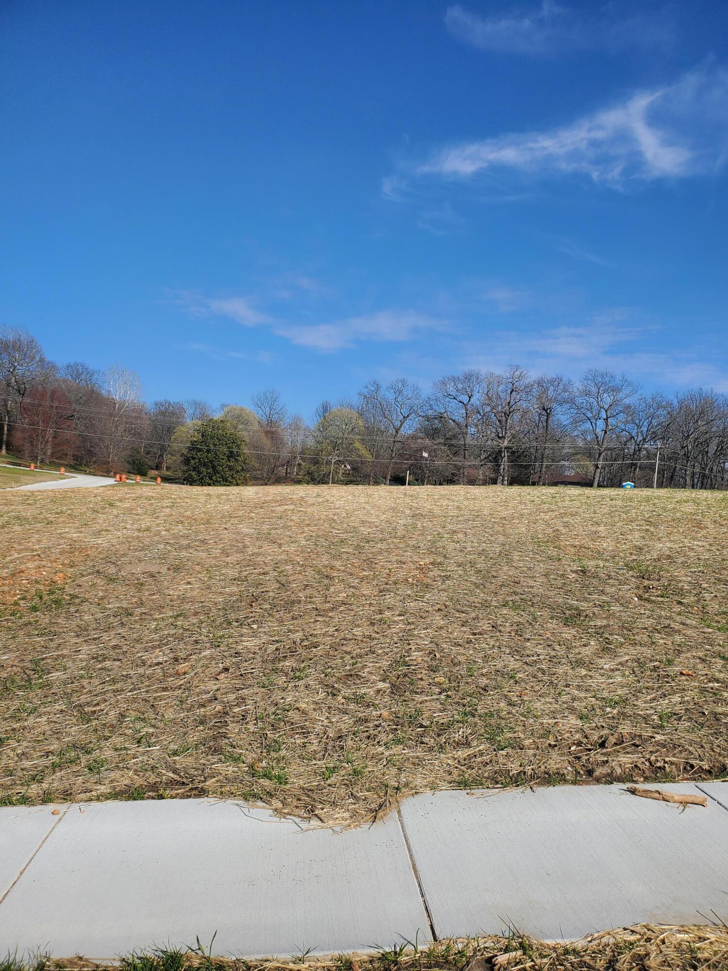 Land for sale – Lot 39  Vintage Pointe   Springfield, MO