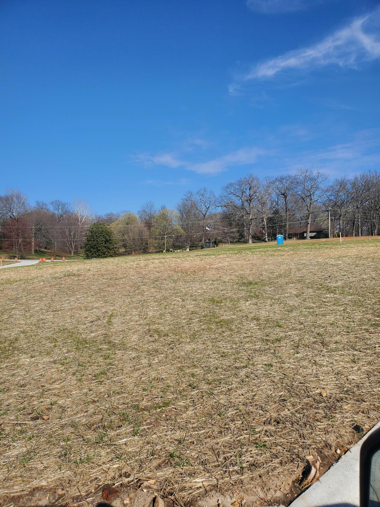 Land for sale – Lot 40  Vintage Pointe   Springfield, MO