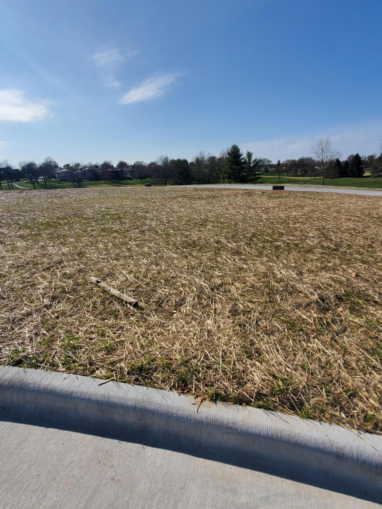 Photo 2 - Land for sale – Lot 45  Vintage Pointe   Springfield, MO