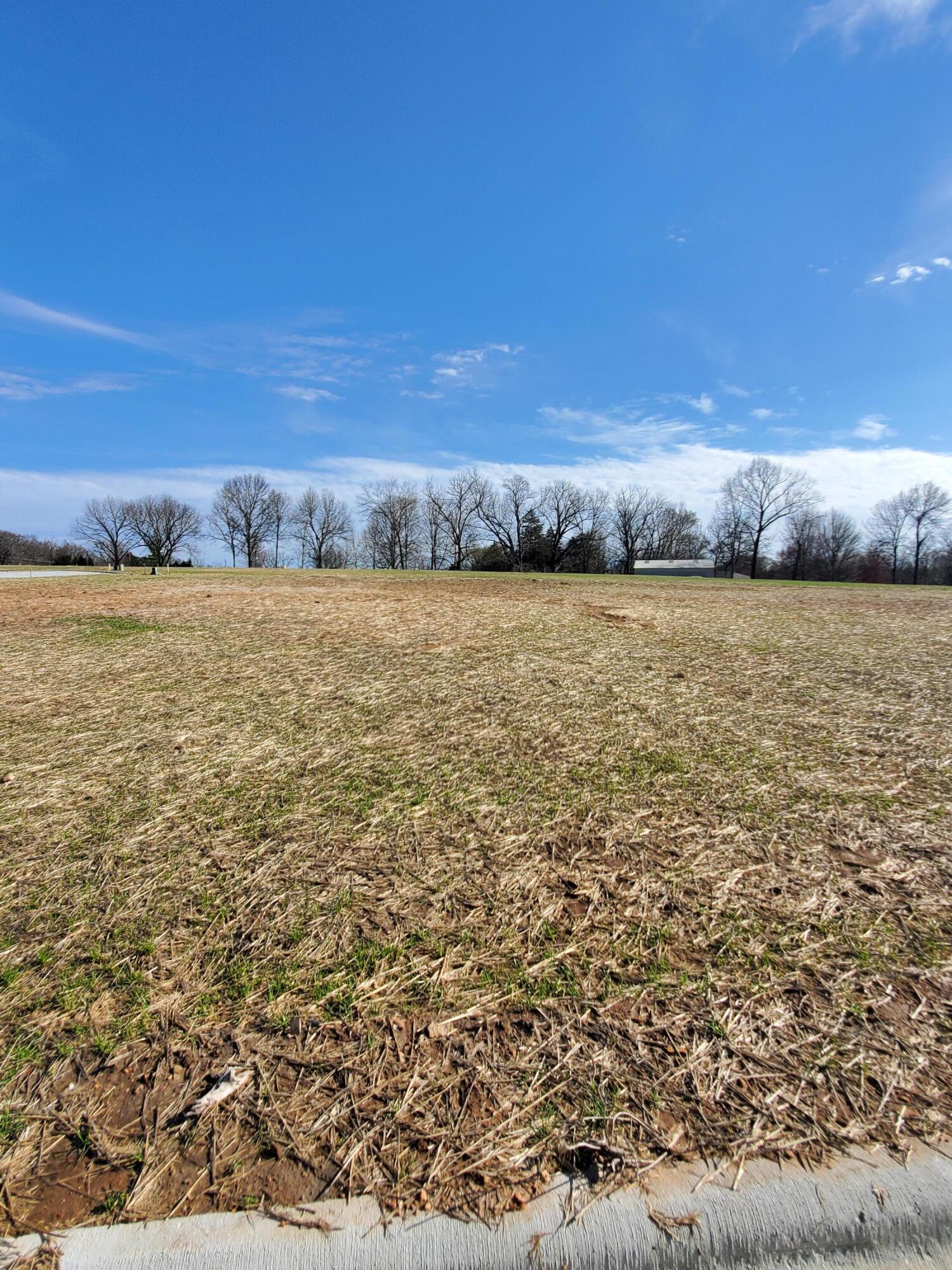 Land for sale – Lot 47  Vintage Pointe   Springfield, MO