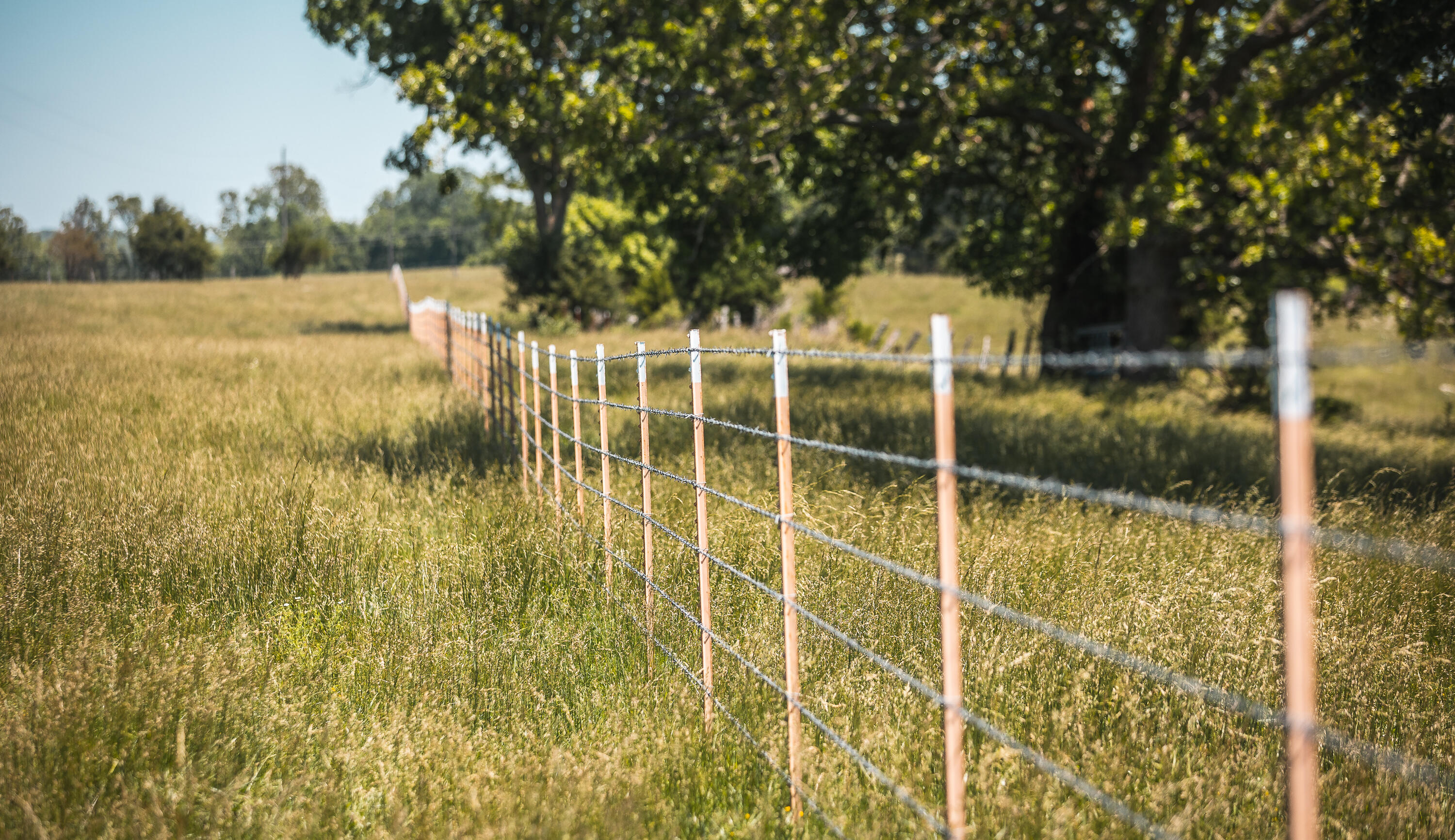 Photo 38 - Land for sale – 000  Farm Road 2265   Golden, MO