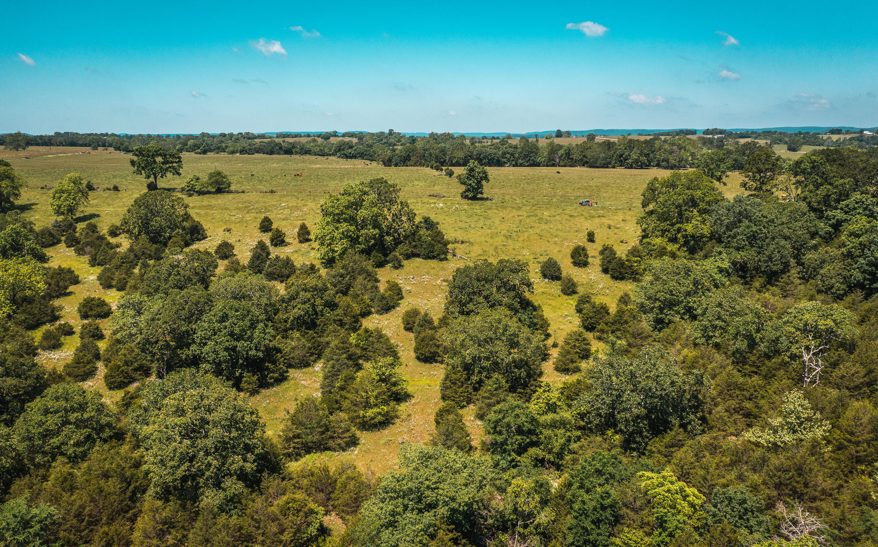 Photo 16 - Land for sale – 000  Farm Road 2265   Golden, MO