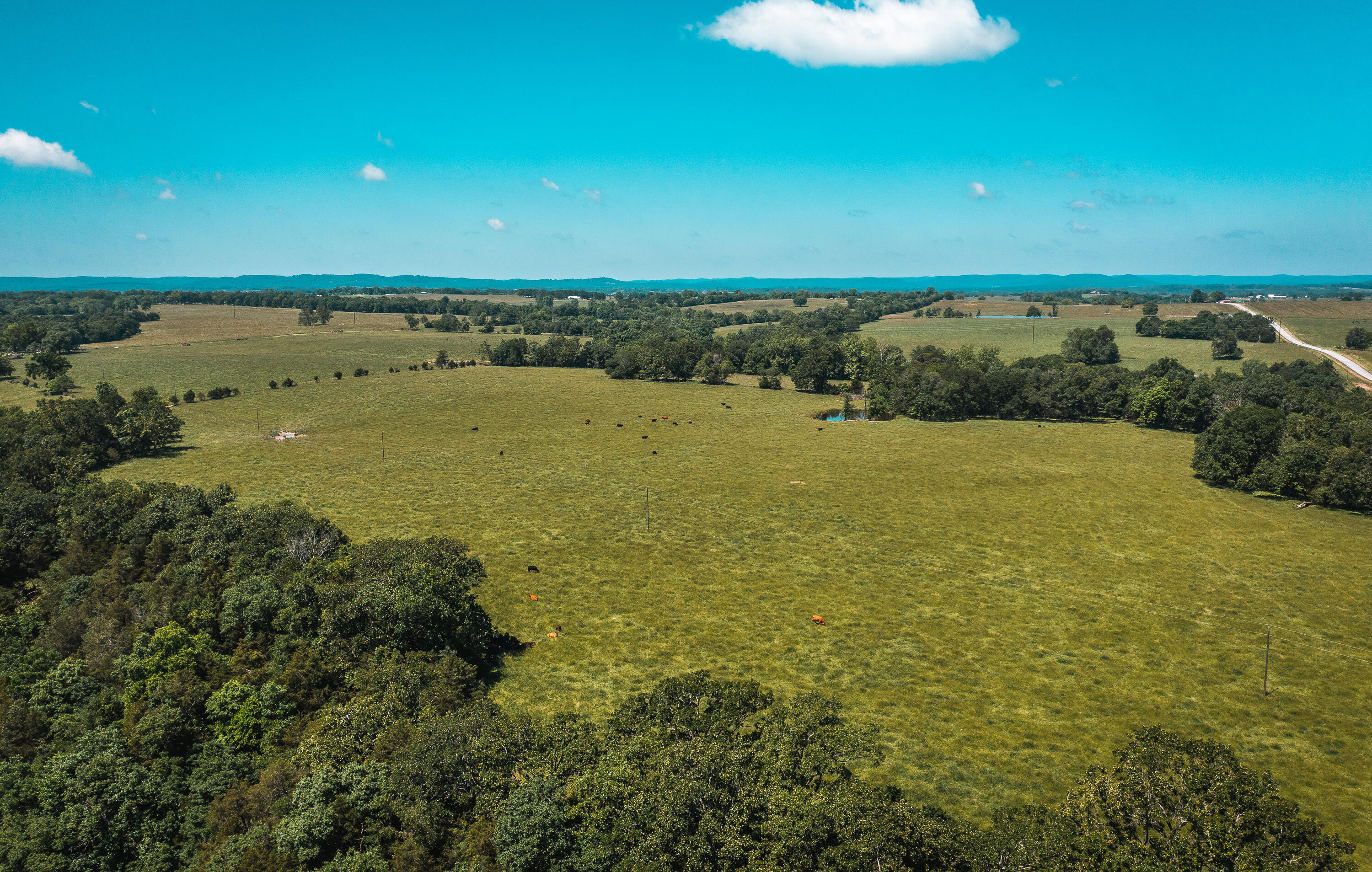 Photo 12 - Land for sale – 000  Farm Road 2265   Golden, MO