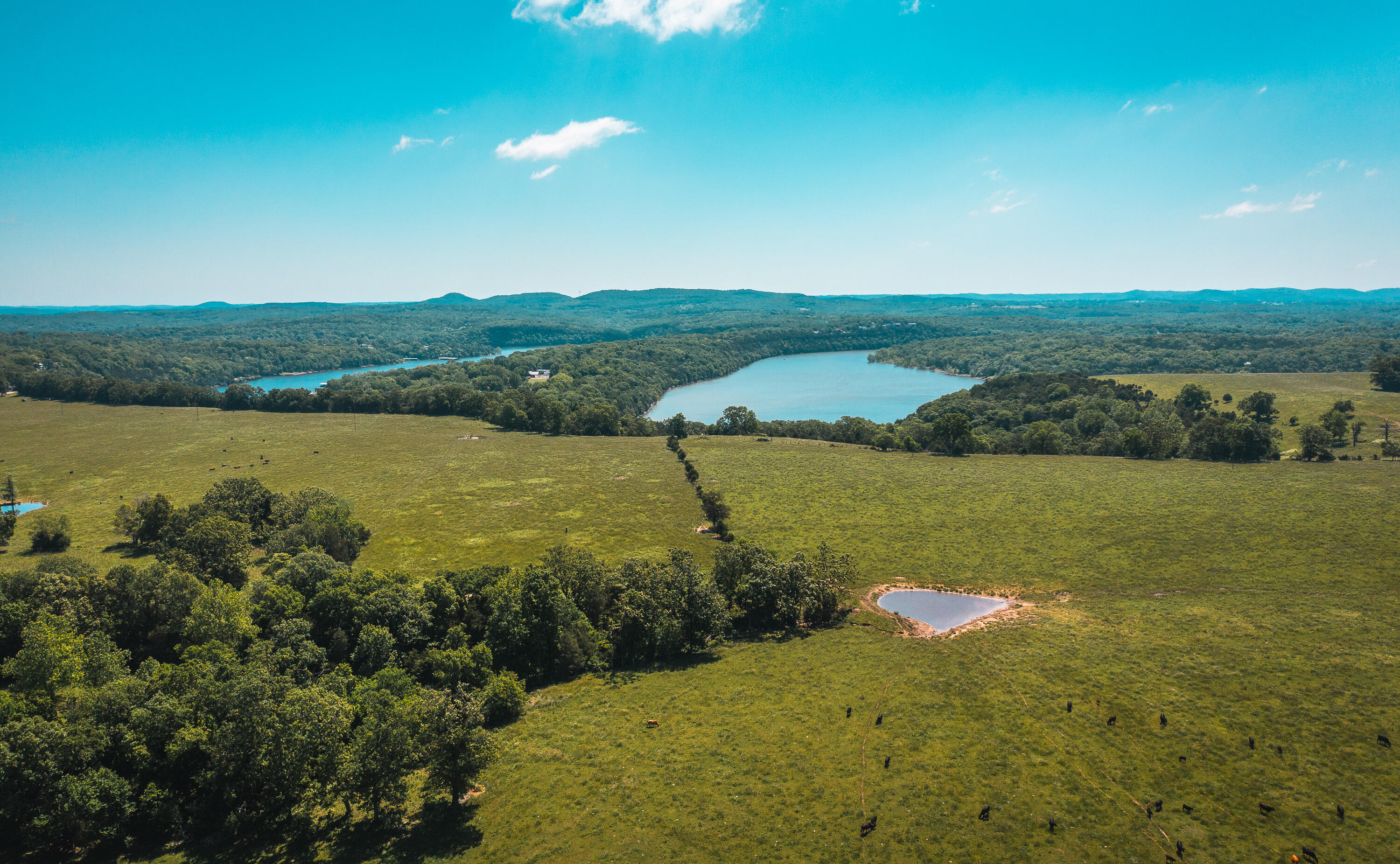 Photo 5 - Land for sale – 000  Farm Road 2265   Golden, MO
