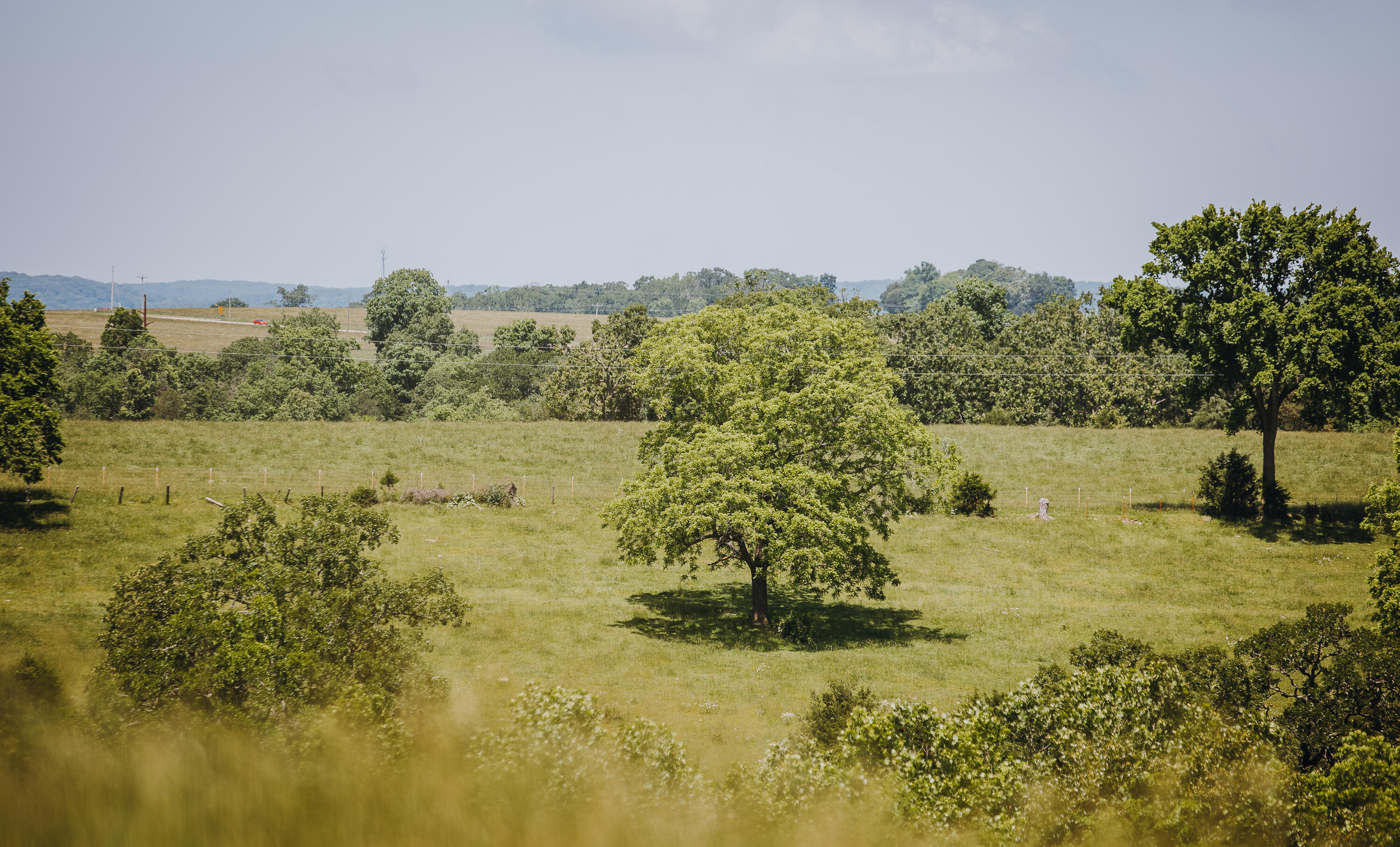 Photo 34 - Land for sale – 000  Farm Road 2265   Golden, MO