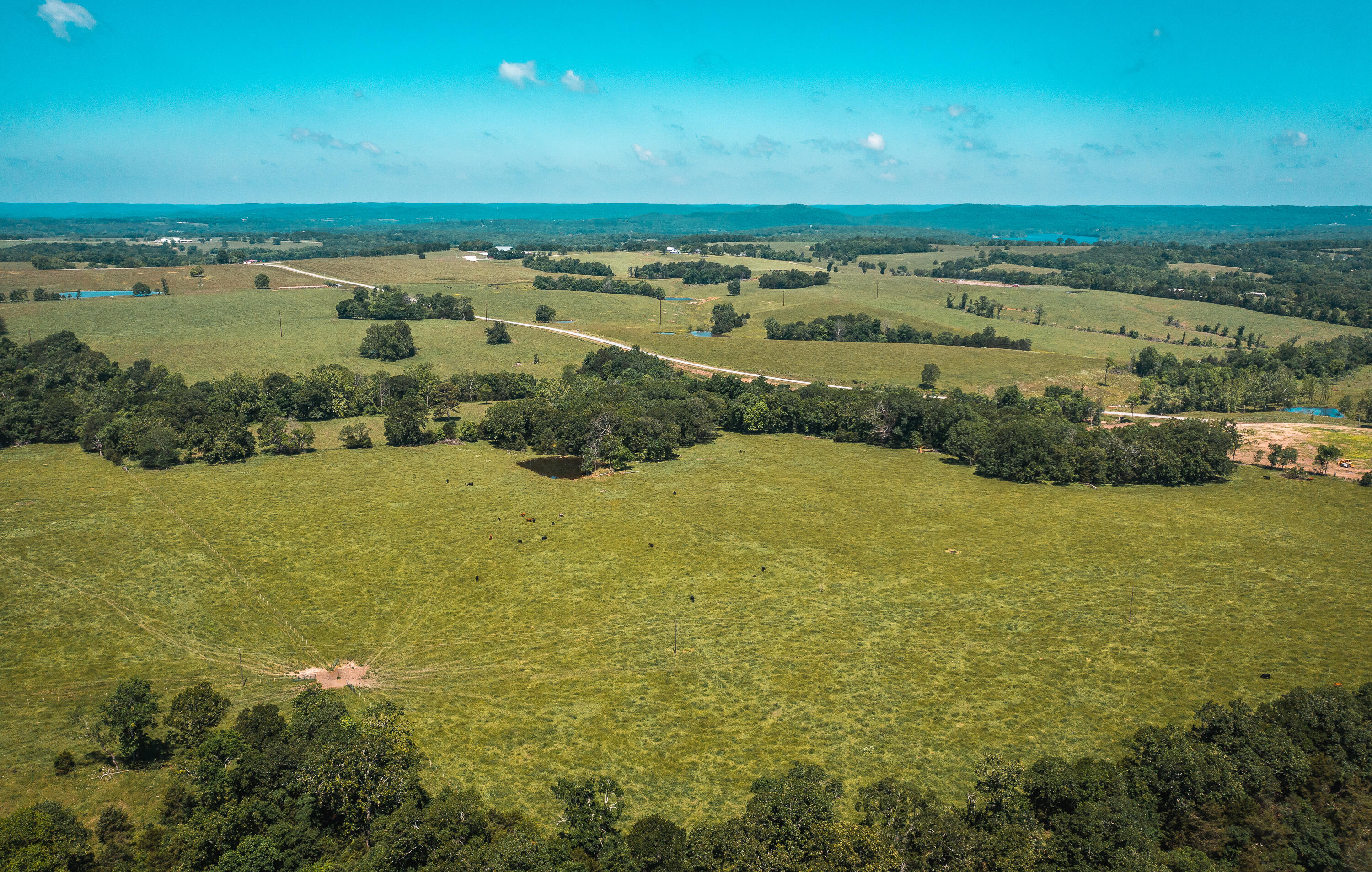 Photo 10 - Land for sale – 000  Farm Road 2265   Golden, MO