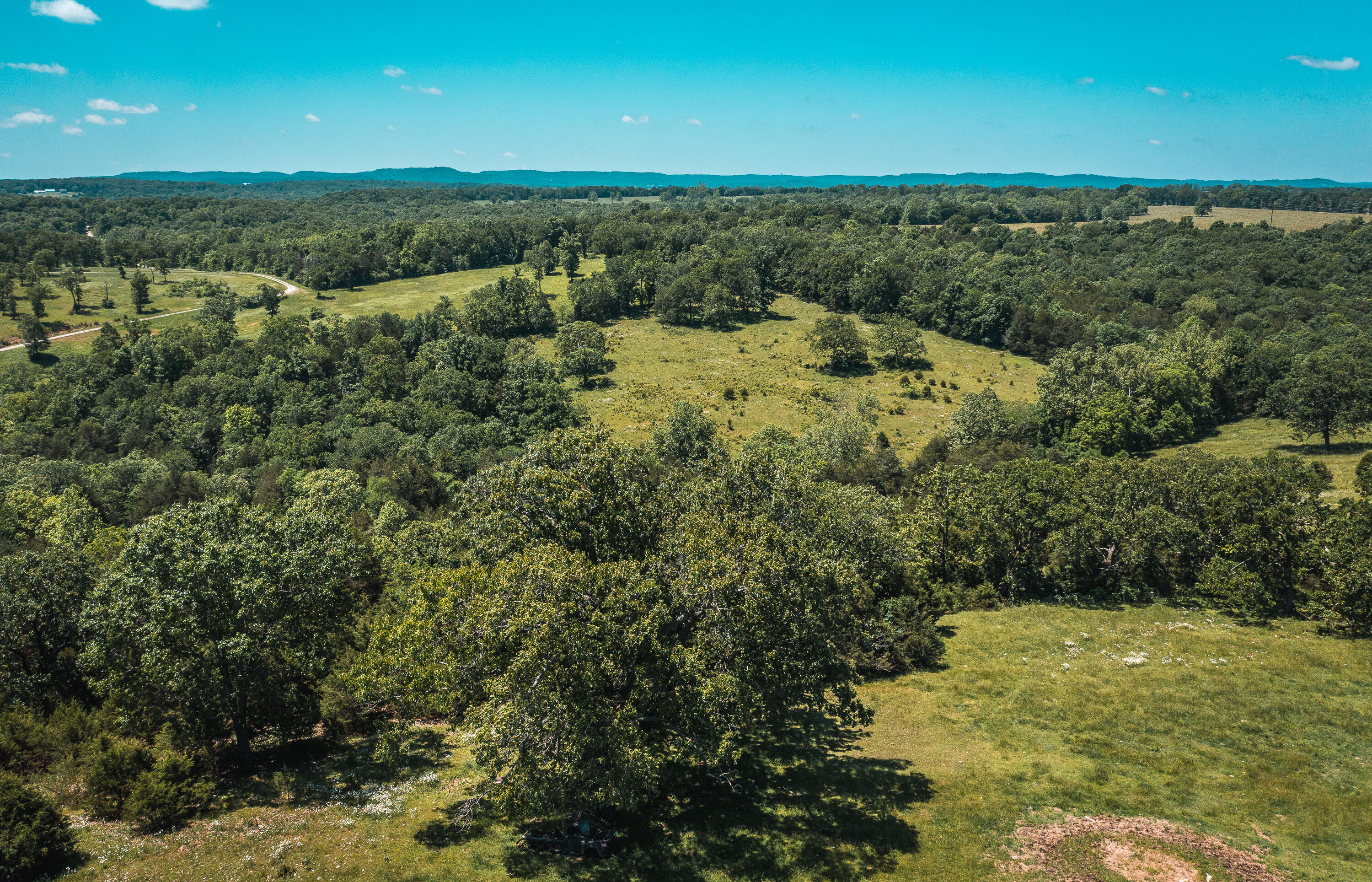 Photo 23 - Land for sale – 000  Farm Road 2265   Golden, MO