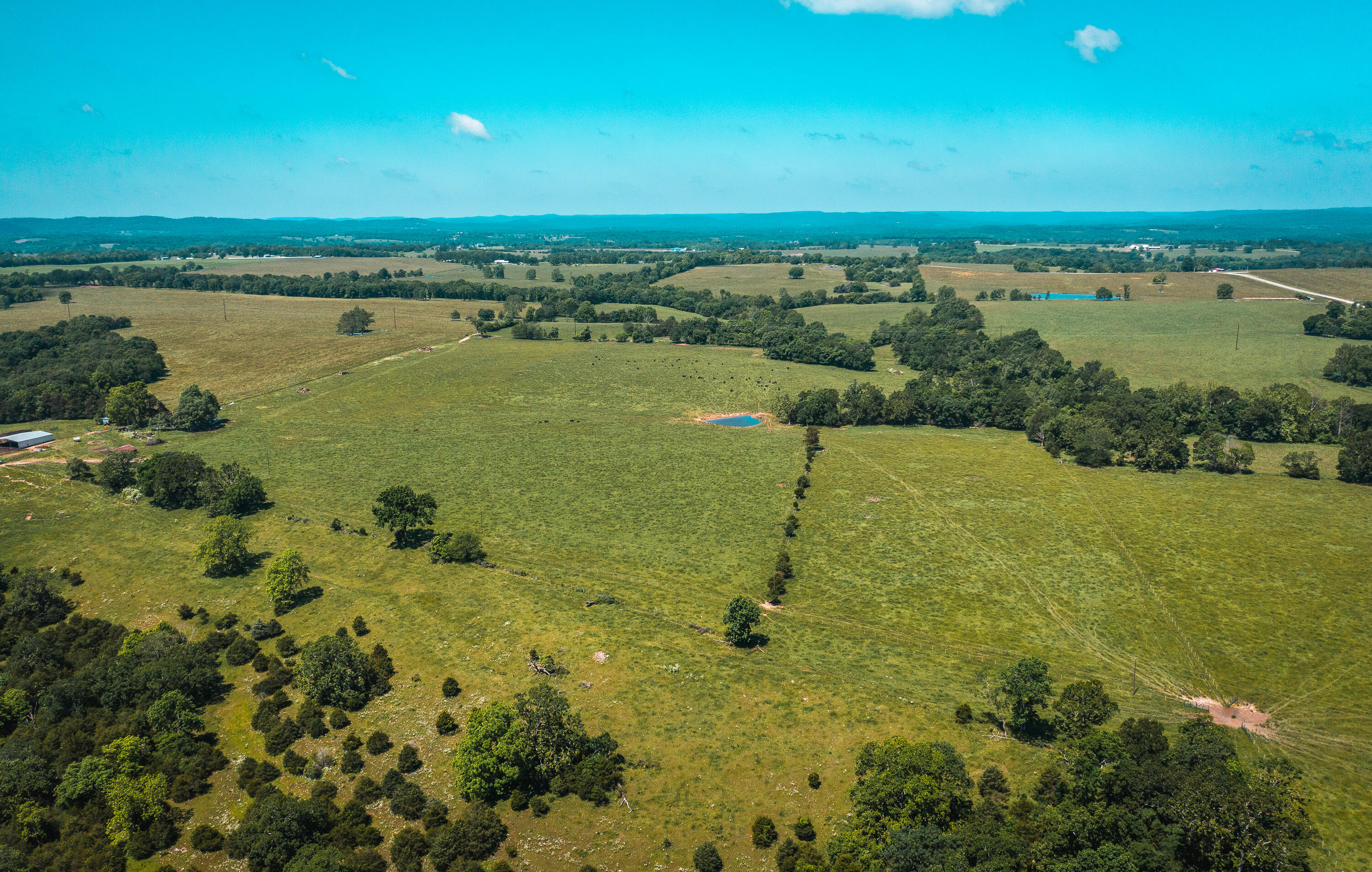 Photo 9 - Land for sale – 000  Farm Road 2265   Golden, MO