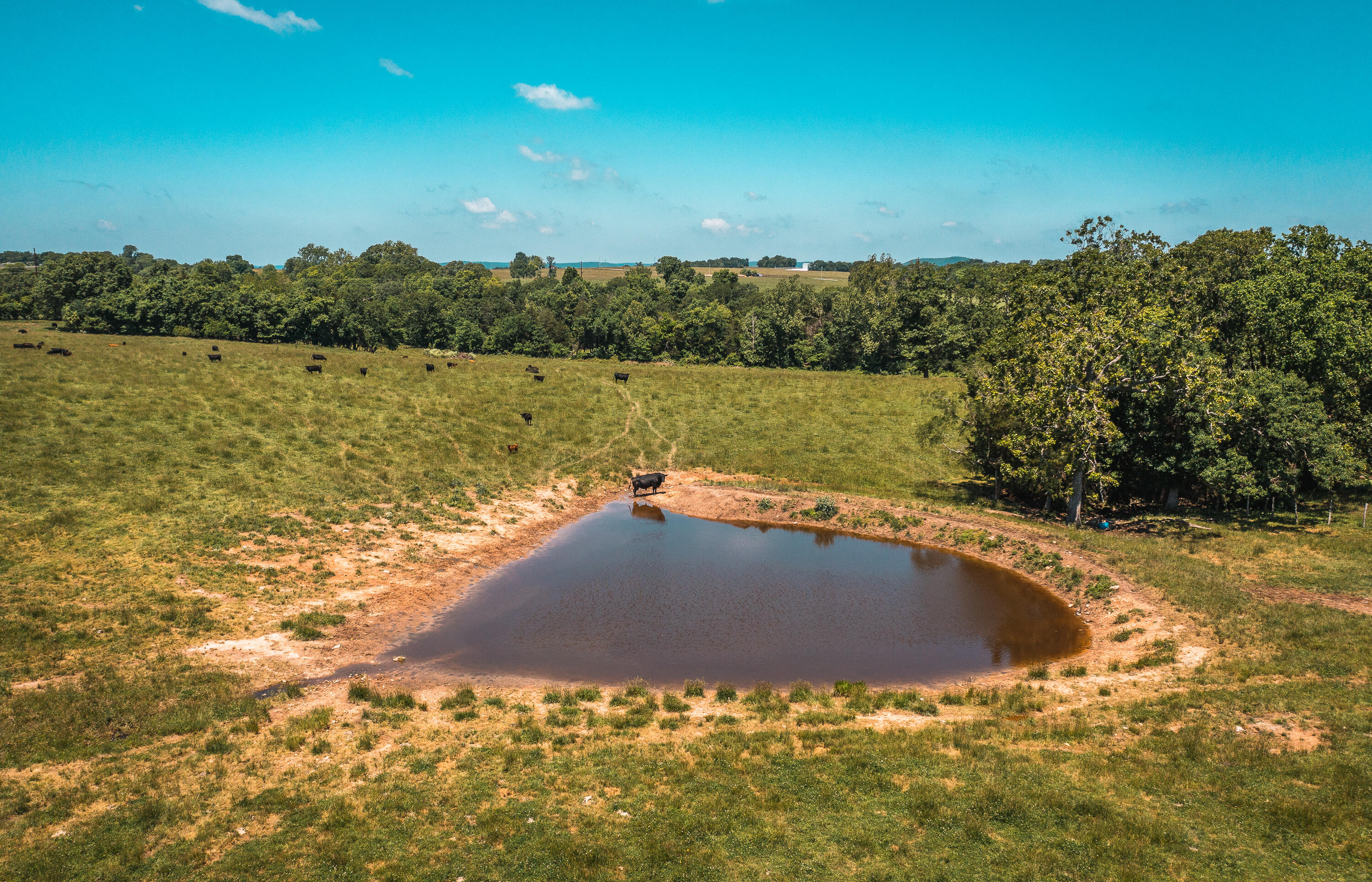Photo 19 - Land for sale – 000  Farm Road 2265   Golden, MO