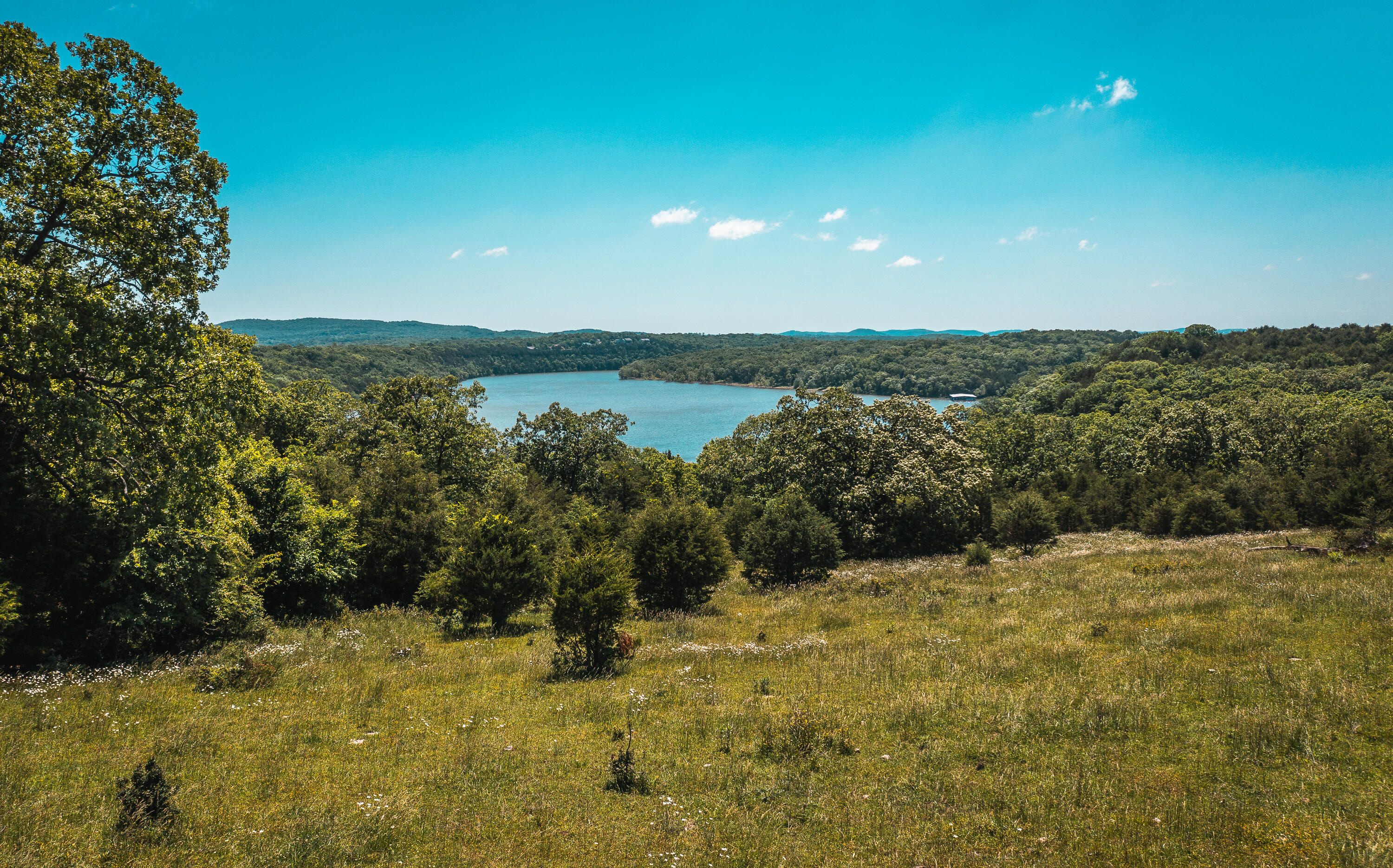 Photo 15 - Land for sale – 000  Farm Road 2265   Golden, MO