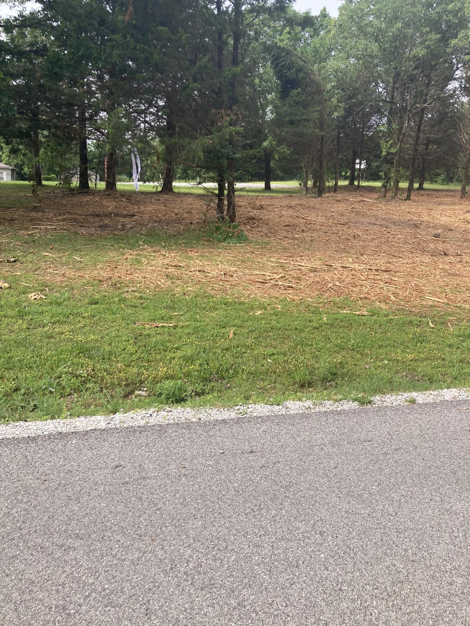Photo 5 - Land for sale – Lots 76-78  Gateway Street  Diamond City, AR