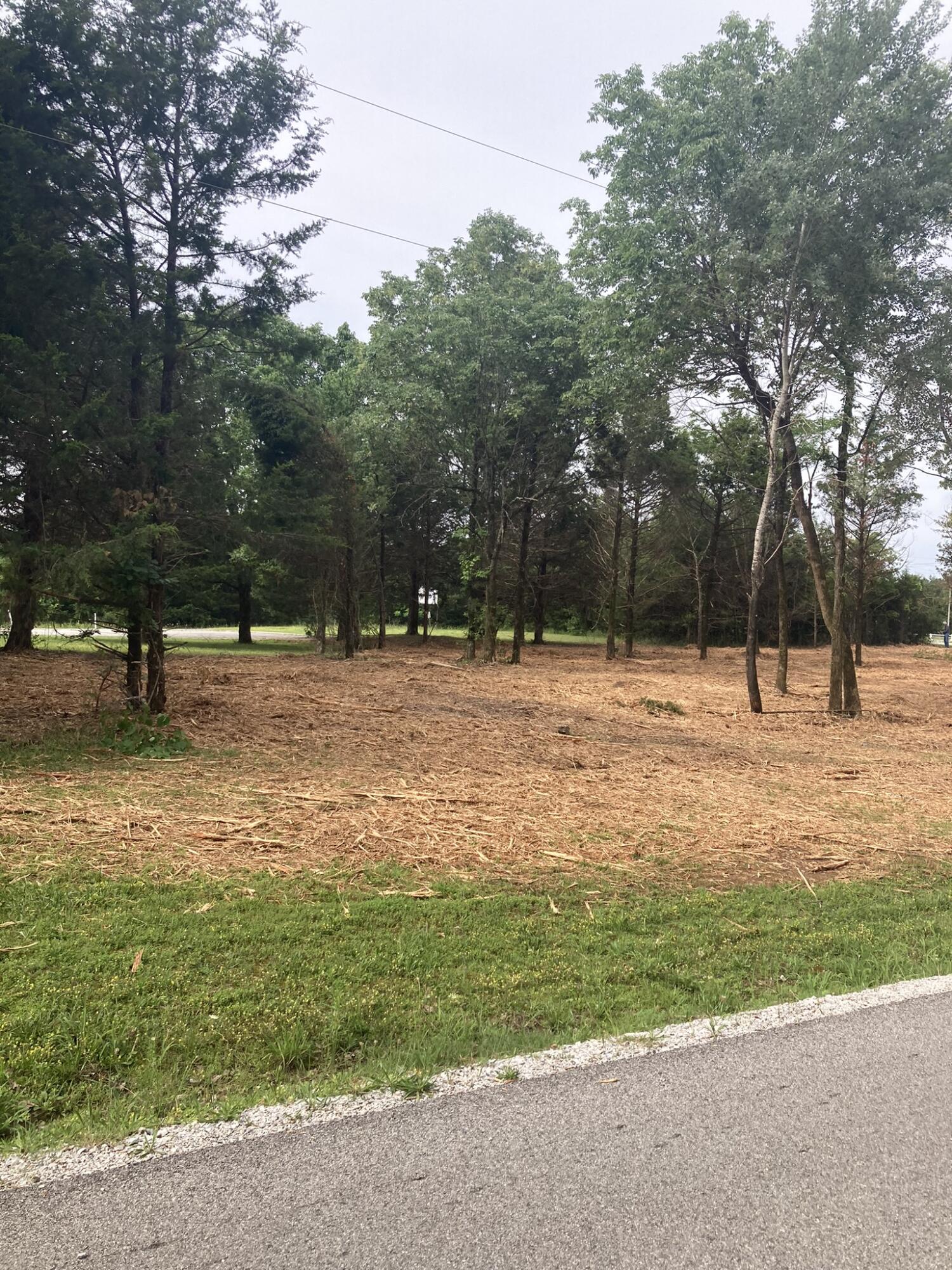 Photo 10 - Land for sale – Lots 76-78  Gateway Street  Diamond City, AR