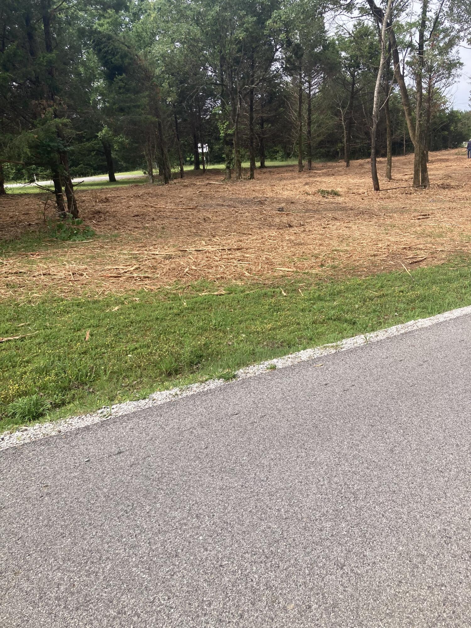 Photo 2 - Land for sale – Lots 76-78  Gateway Street  Diamond City, AR