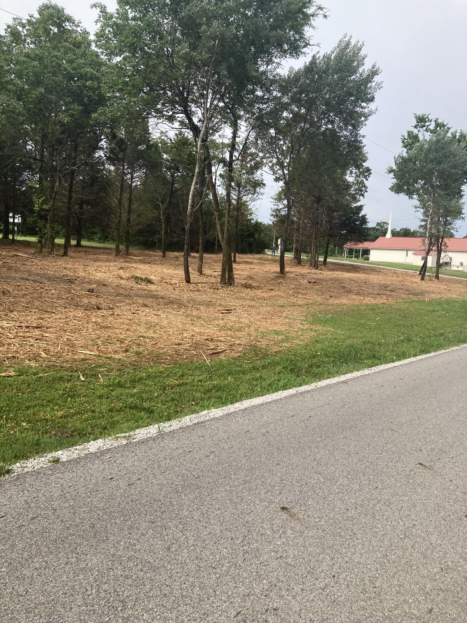 Photo 6 - Land for sale – Lots 76-78  Gateway Street  Diamond City, AR