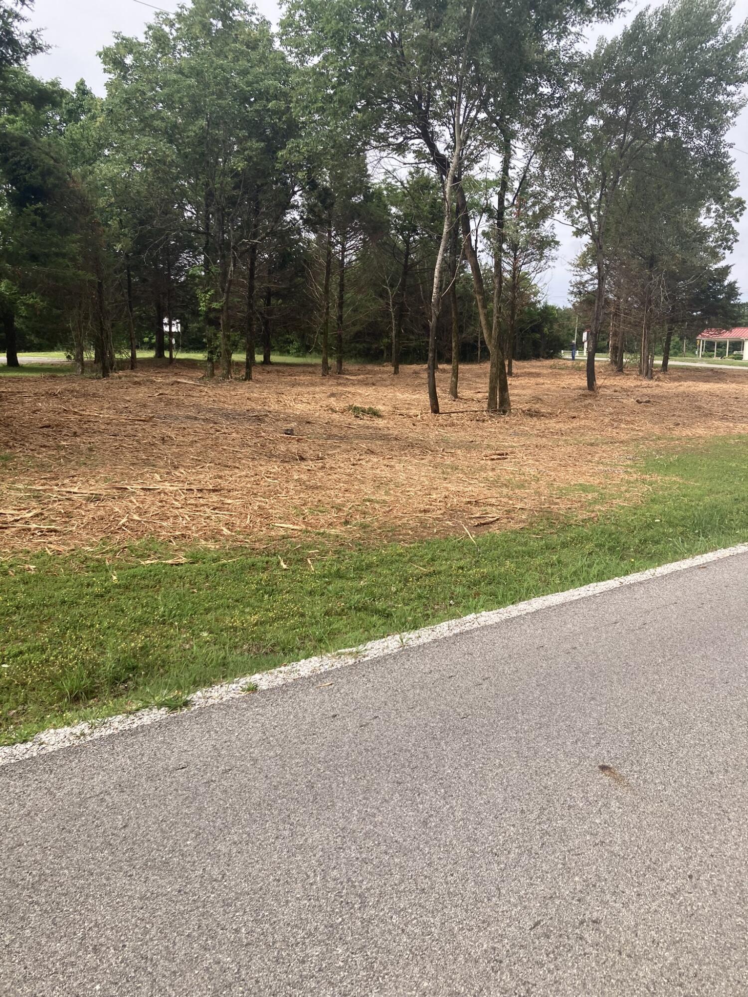Photo 8 - Land for sale – Lots 76-78  Gateway Street  Diamond City, AR