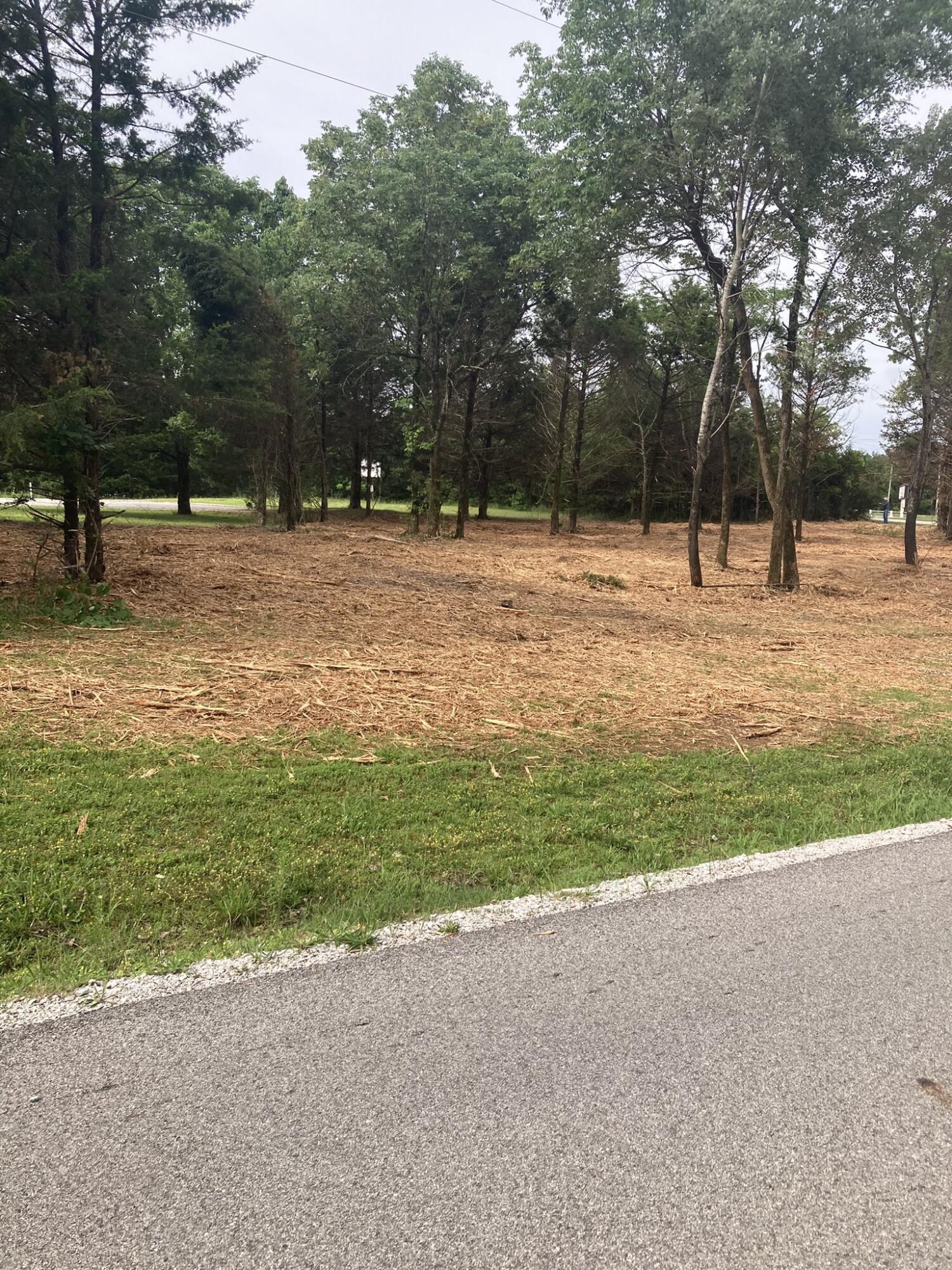 Photo 9 - Land for sale – Lots 76-78  Gateway Street  Diamond City, AR