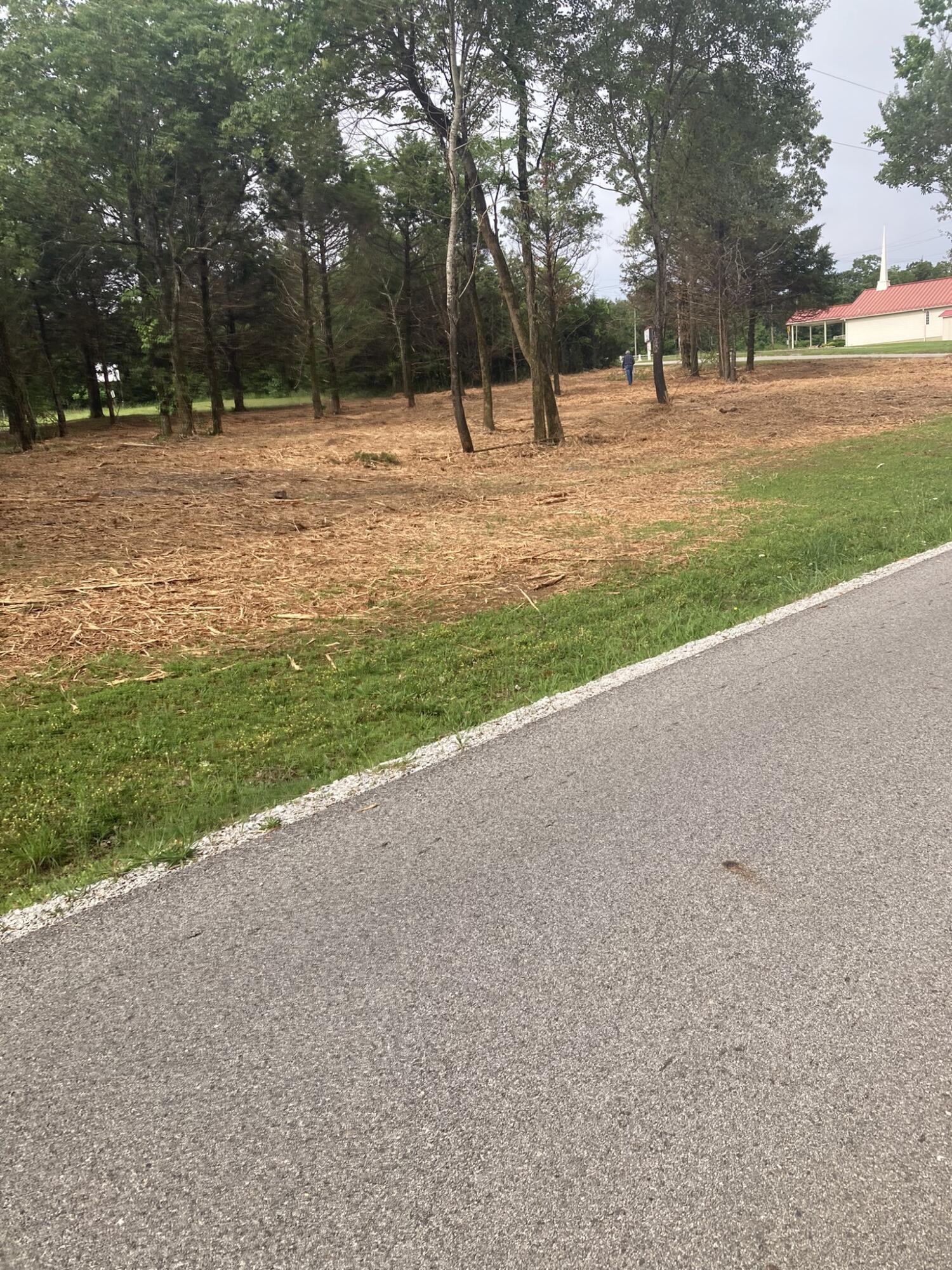 Photo 3 - Land for sale – Lots 76-78  Gateway Street  Diamond City, AR