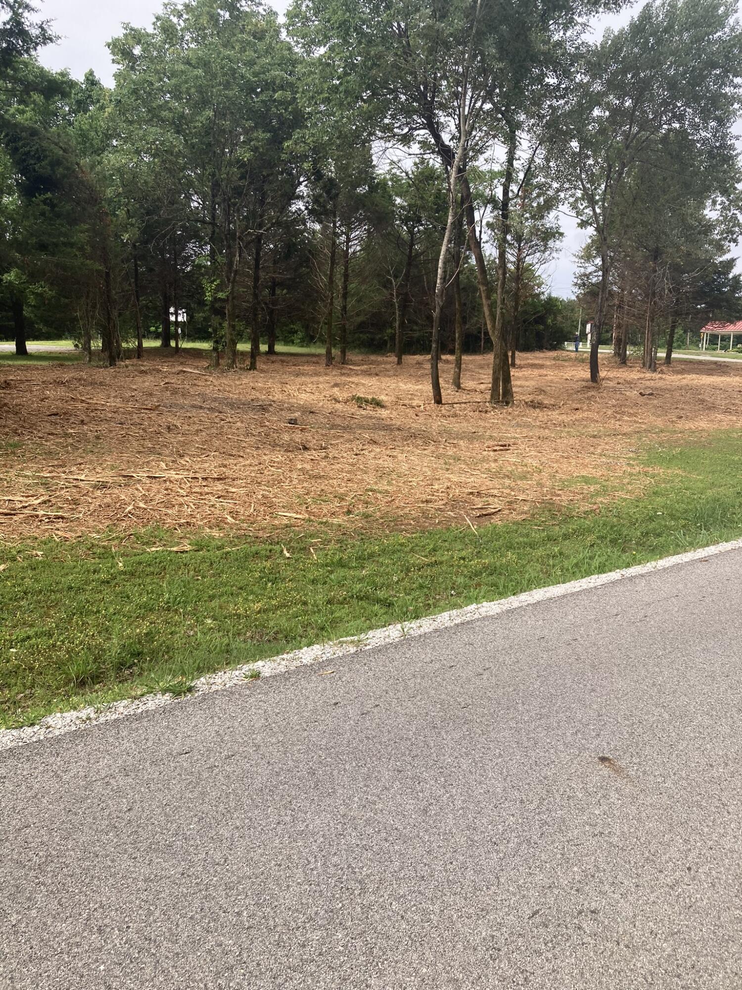 Photo 7 - Land for sale – Lots 76-78  Gateway Street  Diamond City, AR