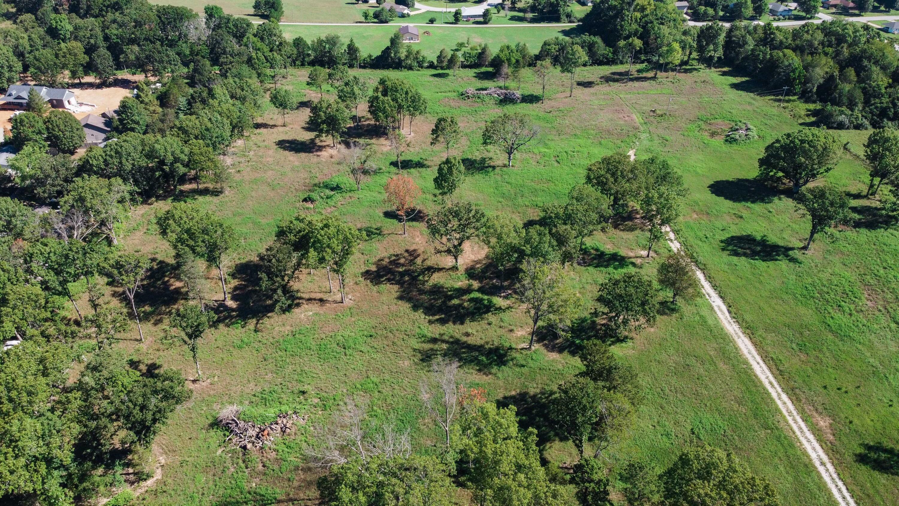 Photo 5 - Land for sale – 4949  State Route Cc   West Plains, MO