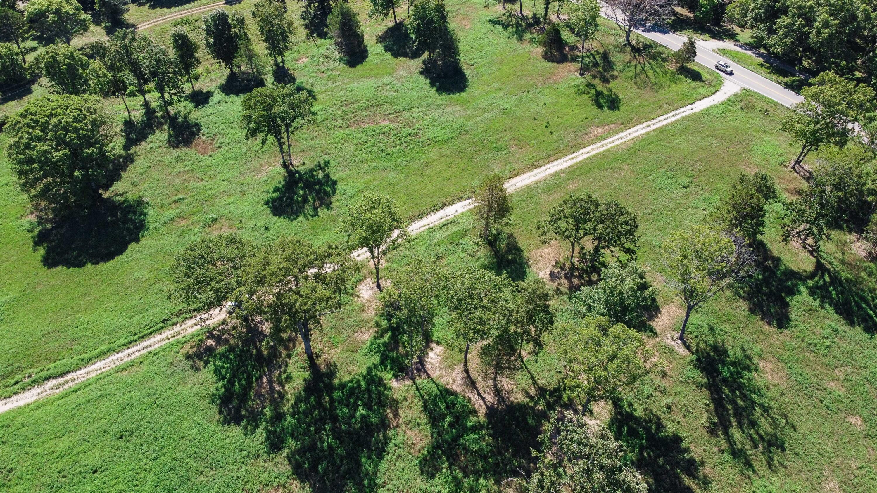 Photo 2 - Land for sale – 4949  State Route Cc   West Plains, MO