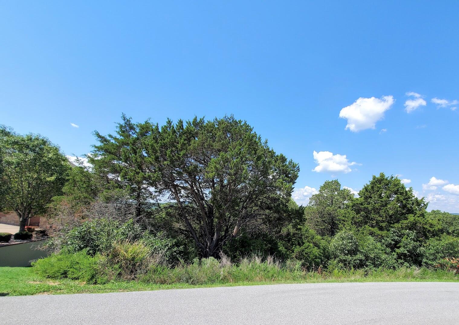 Photo 2 - Land for sale – Lot 182  Silver Sunset Ln   Kimberling City, MO