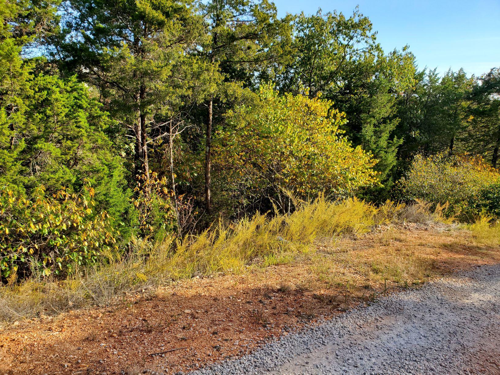 Photo 5 - Land for sale – Lot 203  Silver Sunset Lane   Kimberling City, MO
