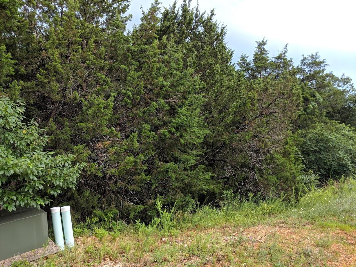 Photo 3 - Land for sale – Lot 203  Silver Sunset Lane   Kimberling City, MO