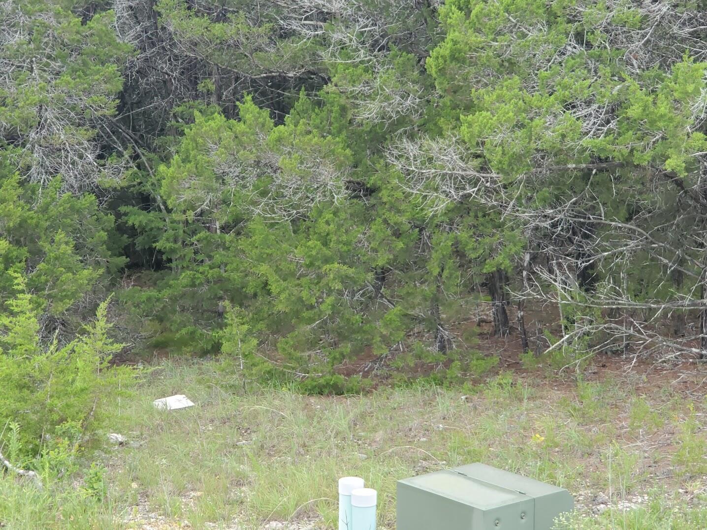Photo 2 - Land for sale – Lot 215  Silver Sunset Lane   Kimberling City, MO