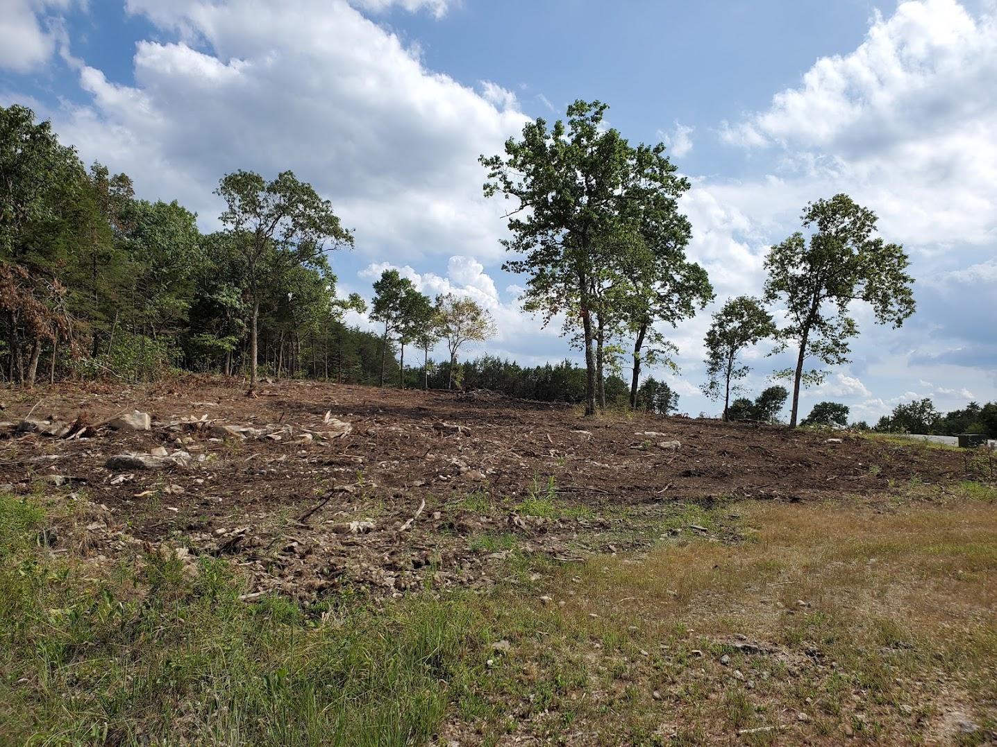 Photo 3 - Land for sale – Lot 261  Silver Sunset Lane   Kimberling City, MO