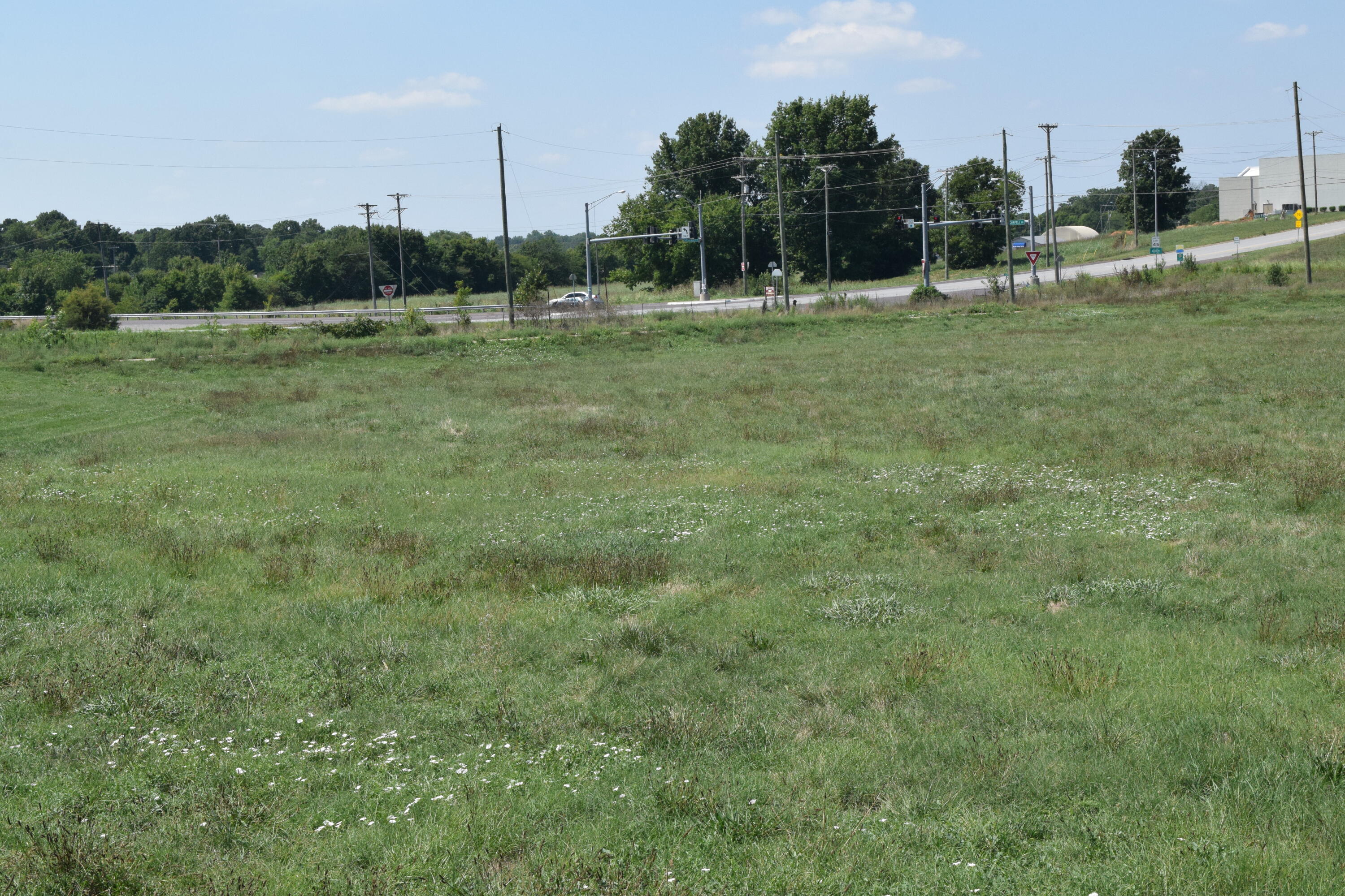 Photo 6 - Land for sale – 000  County Road 1090   Monett, MO