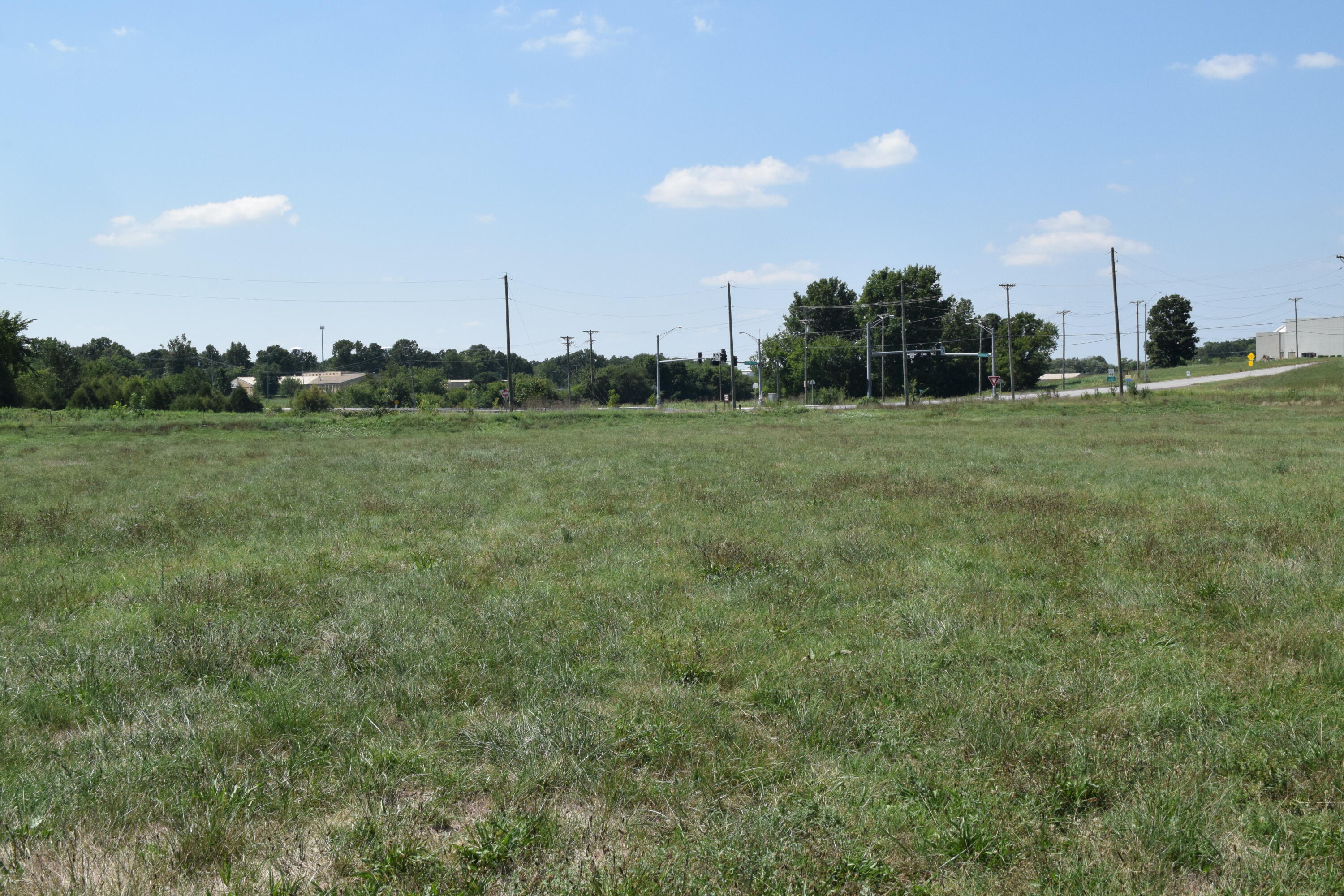 Photo 2 - Land for sale – 000  County Road 1090   Monett, MO